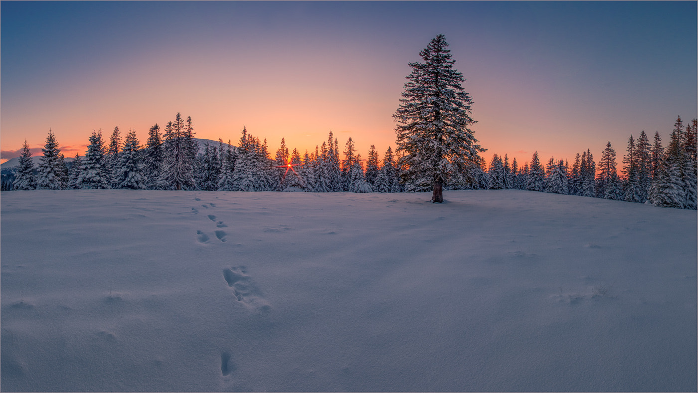 Pentax smc DA 14mm F2.8 ED (IF) sample photo. Winterlandschaft photography