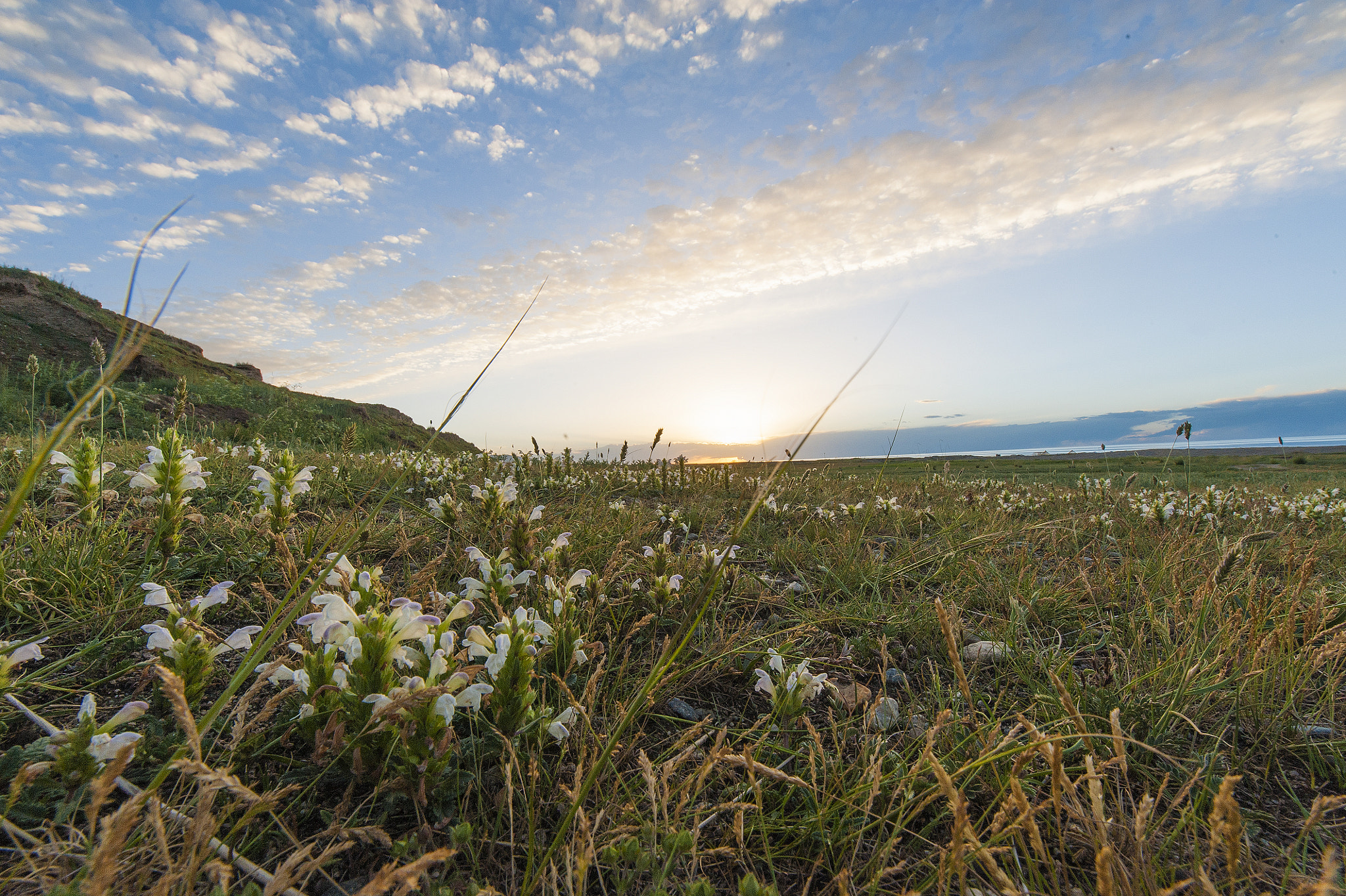Tamron SP 15-30mm F2.8 Di VC USD sample photo. Peaceful sunset photography