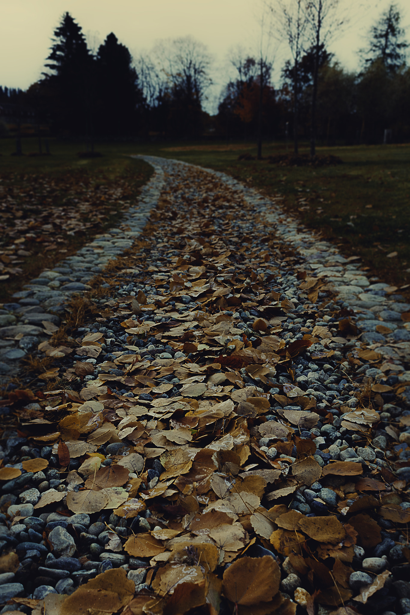 Canon EF-S 18-55mm F3.5-5.6 IS sample photo. Stone road photography