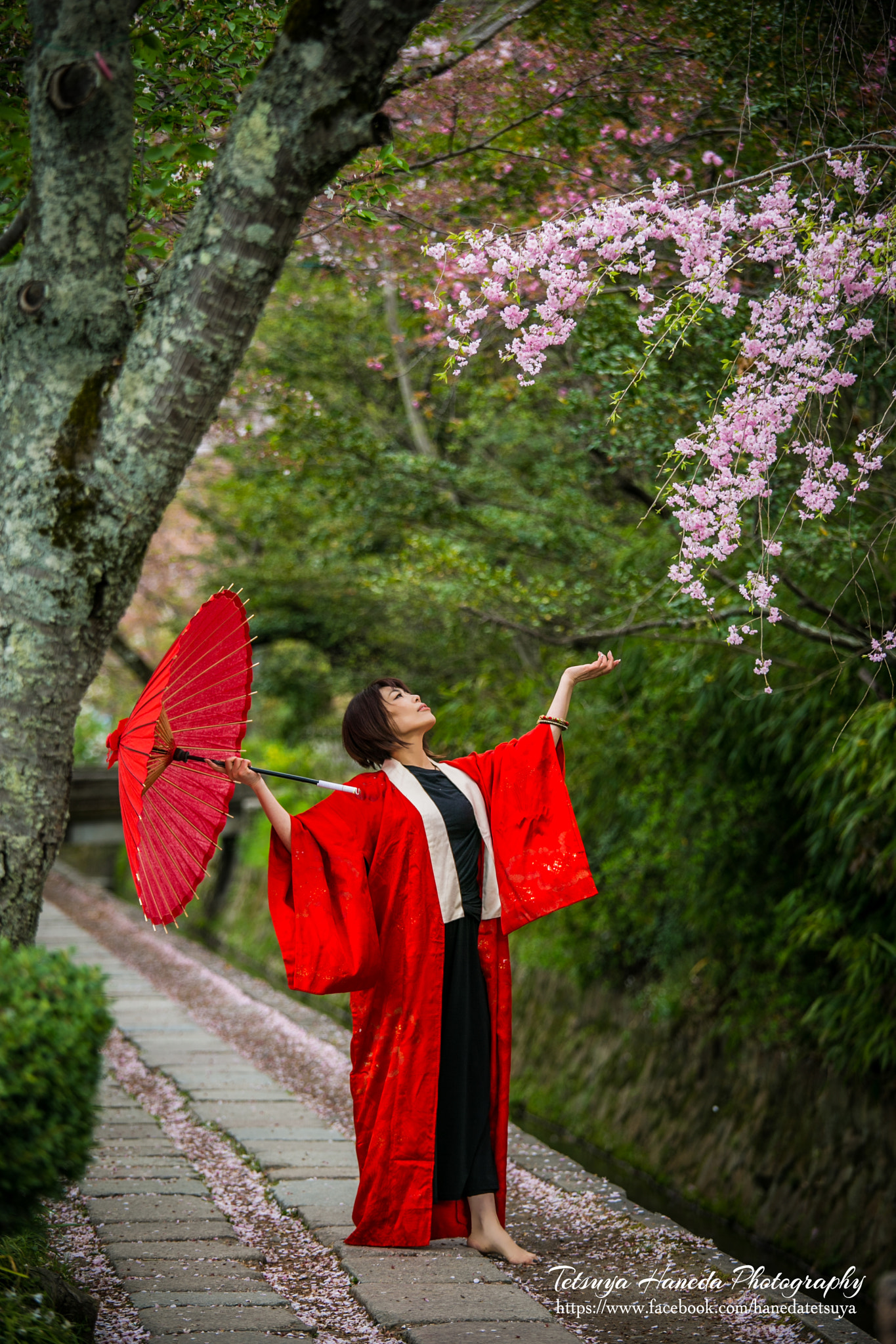 Canon EF 70-200mm F4L IS USM sample photo. Mya photography
