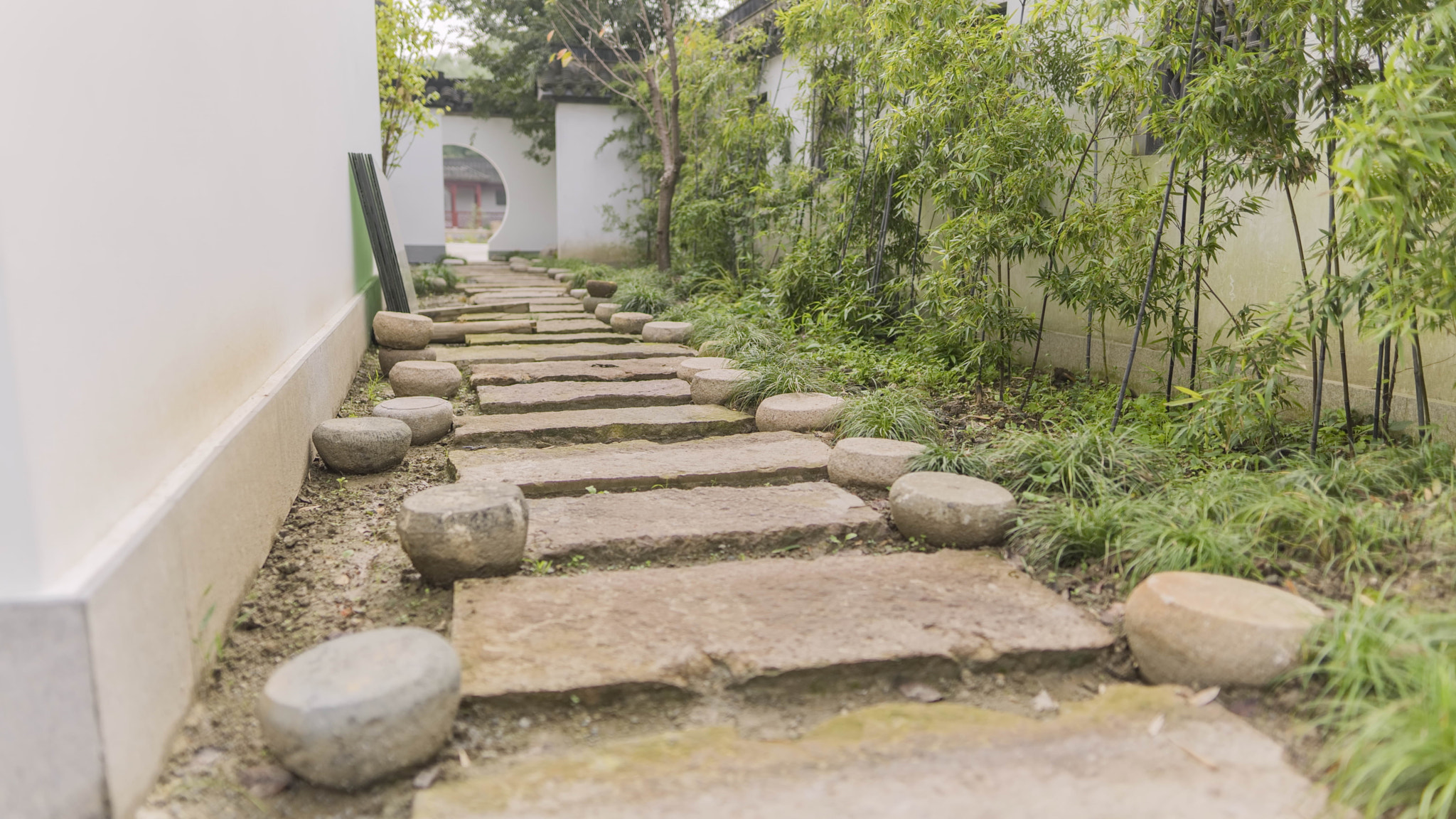 Sigma 24mm F1.4 DG HSM Art sample photo. Shao park photography