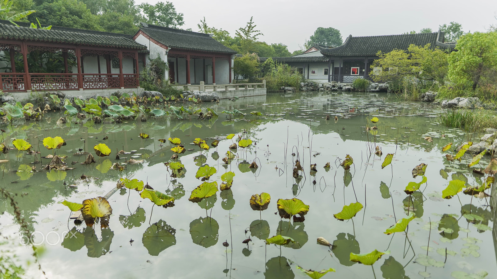 Sigma 24mm F1.4 DG HSM Art sample photo. Shao park photography