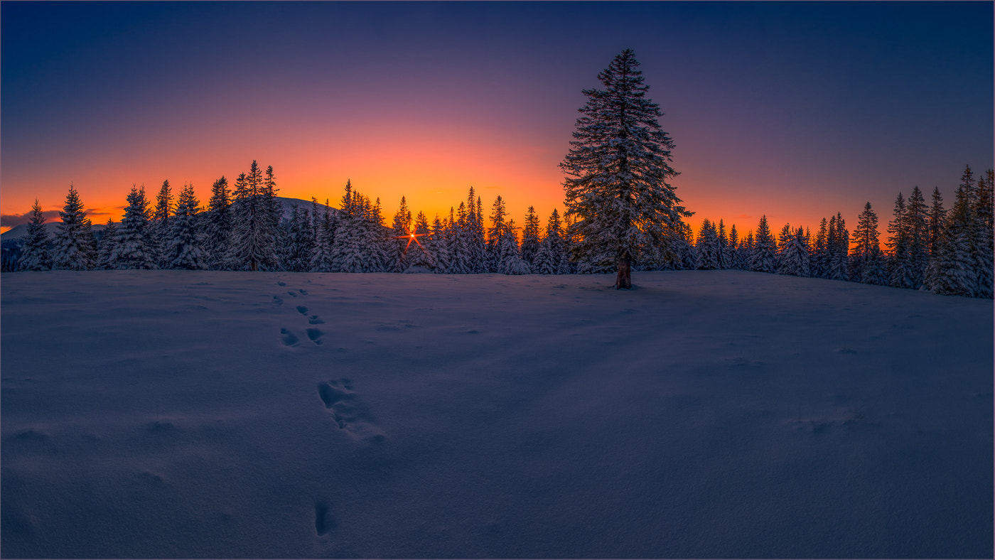 Pentax smc DA 14mm F2.8 ED (IF) sample photo. Winterlandschaft photography