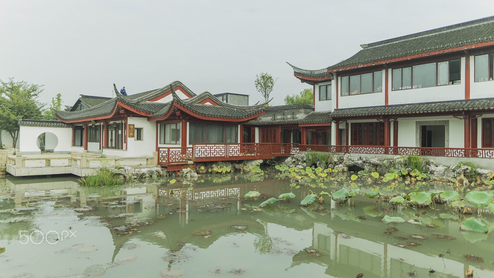 Sigma 24mm F1.4 DG HSM Art sample photo. Shao park photography