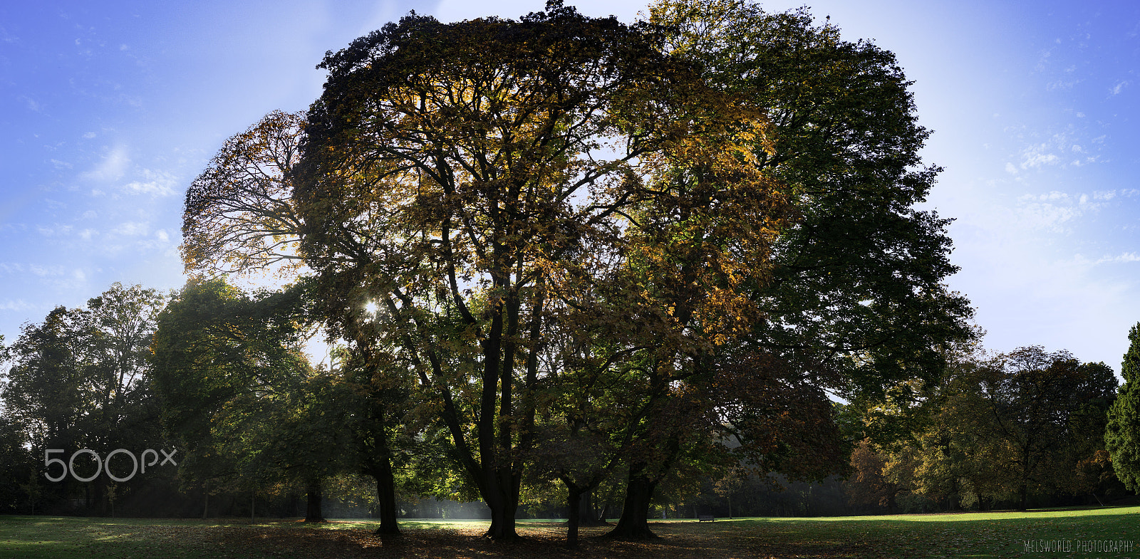 Canon EOS 700D (EOS Rebel T5i / EOS Kiss X7i) + Canon EF 24mm F2.8 sample photo. Autumn serie's : autumn afternoon photography