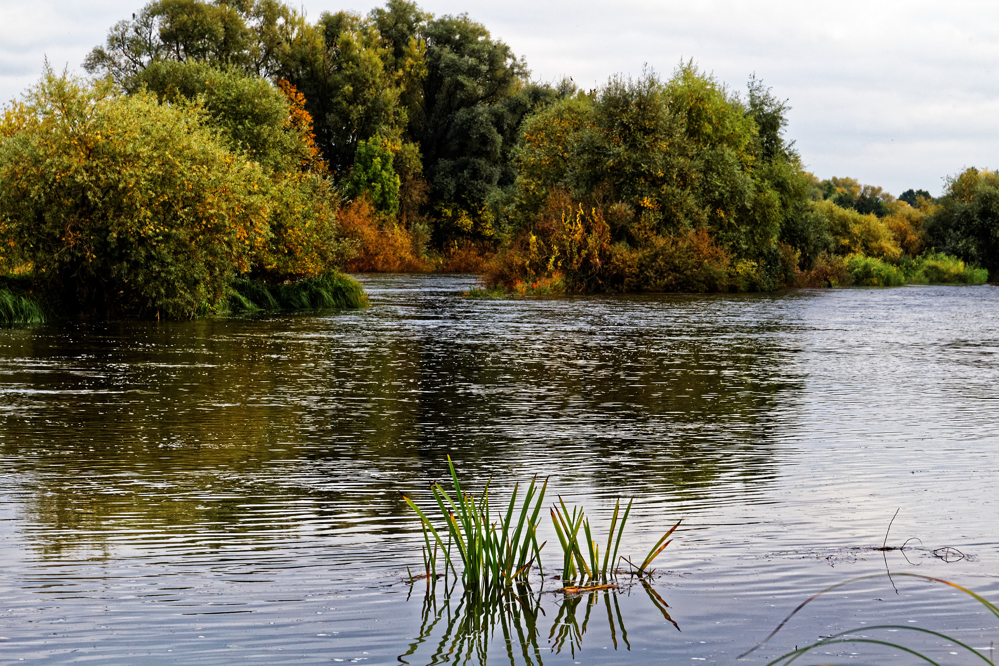 Sigma 17-70mm F2.8-4 DC Macro OS HSM sample photo. Moselle, la rivière photography