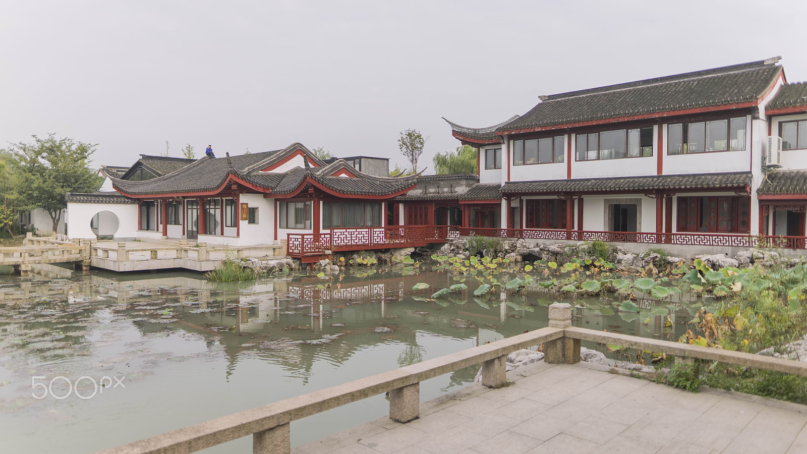 Sigma 24mm F1.4 DG HSM Art sample photo. Shao park photography