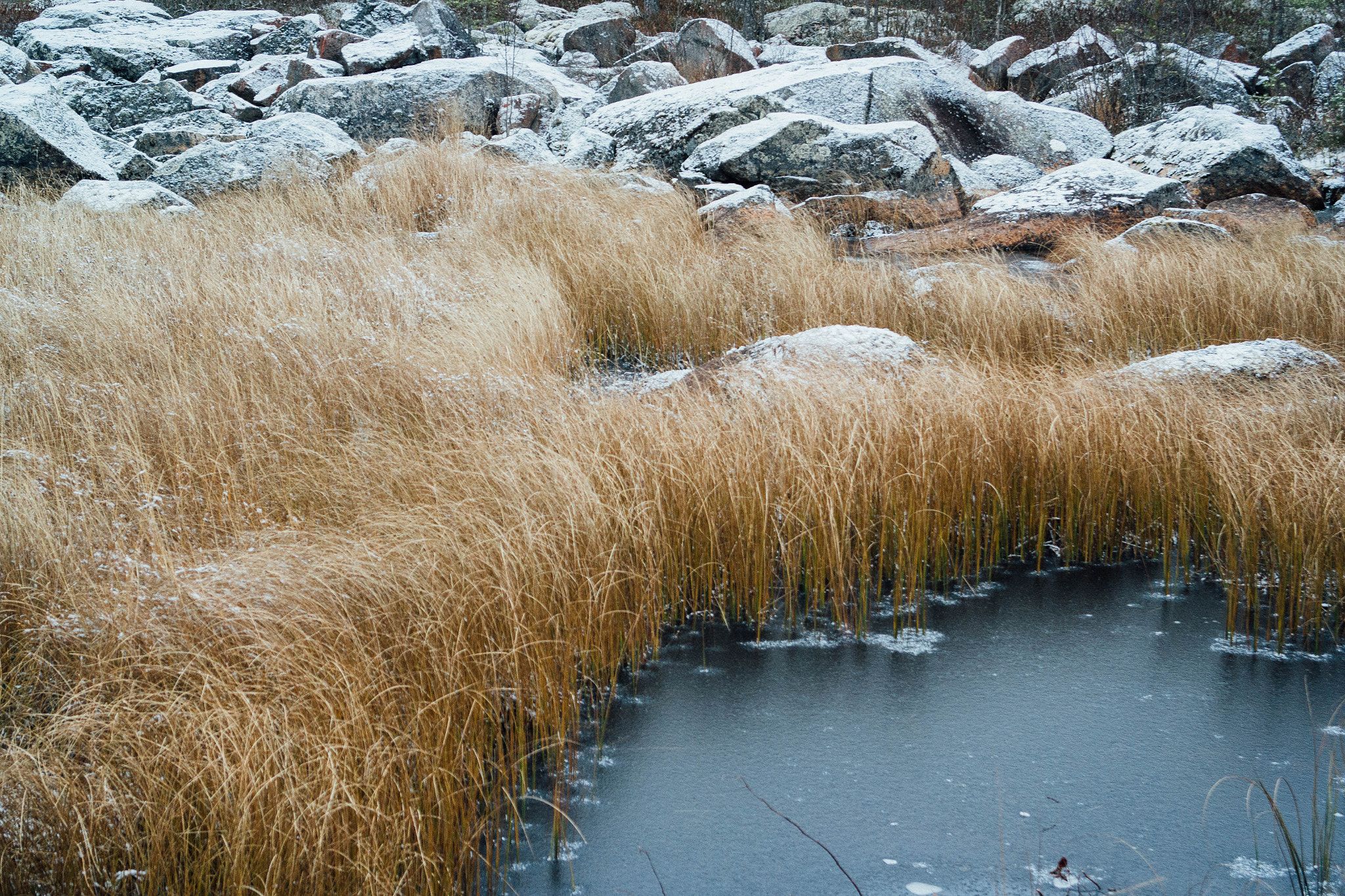 Samsung NX2000 + Samsung NX 20-50mm F3.5-5.6 ED sample photo. Snow and frozen pond photography