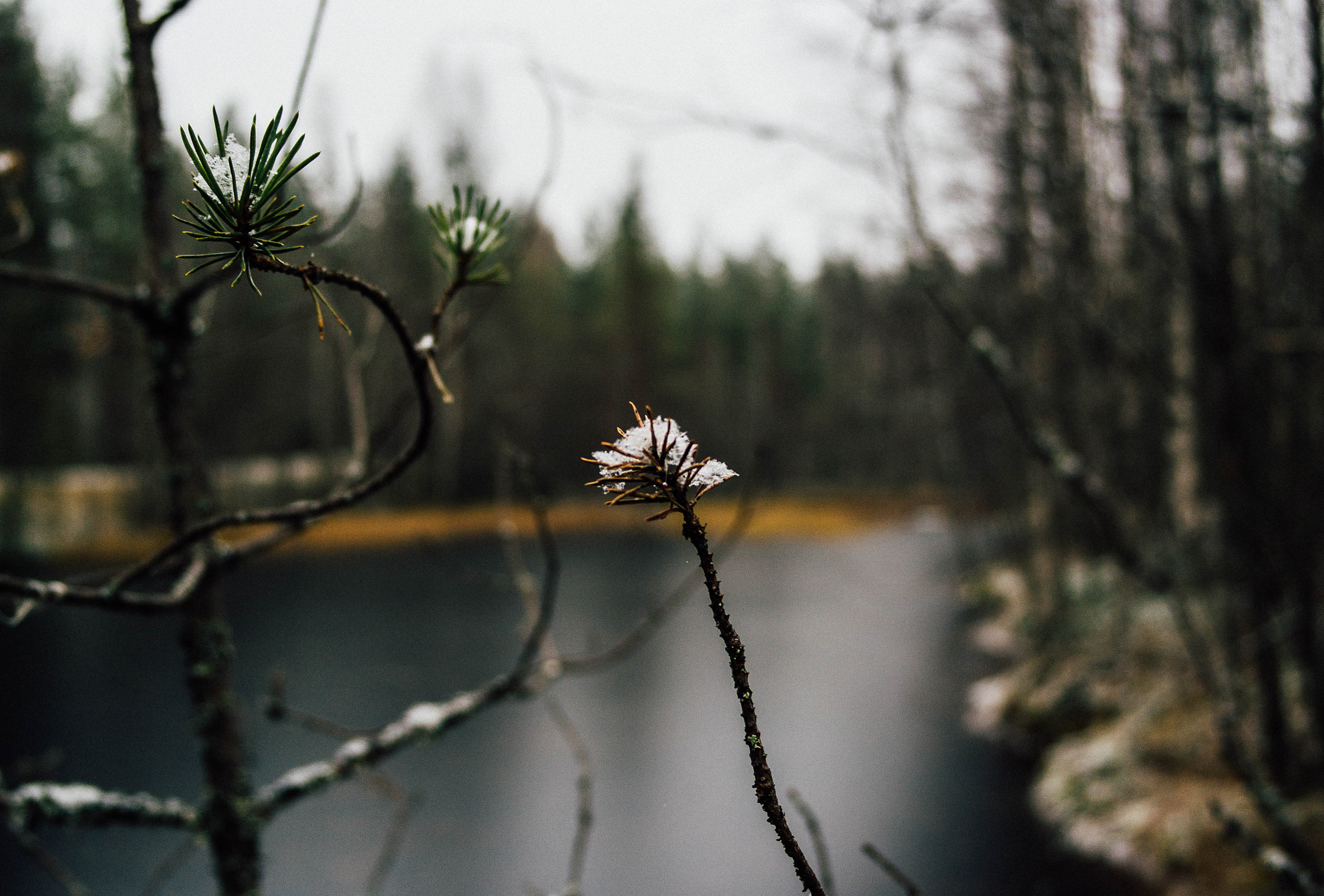 Samsung NX 20-50mm F3.5-5.6 ED sample photo. Snow has fallen and ponds are frozen photography
