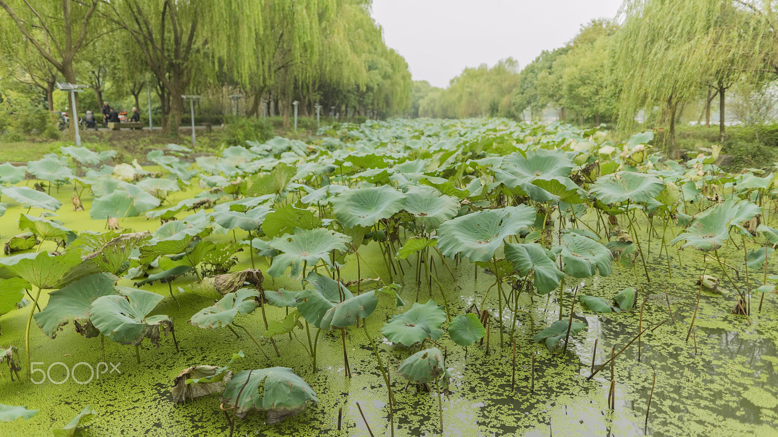 Sigma 24mm F1.4 DG HSM Art sample photo. South lake photography