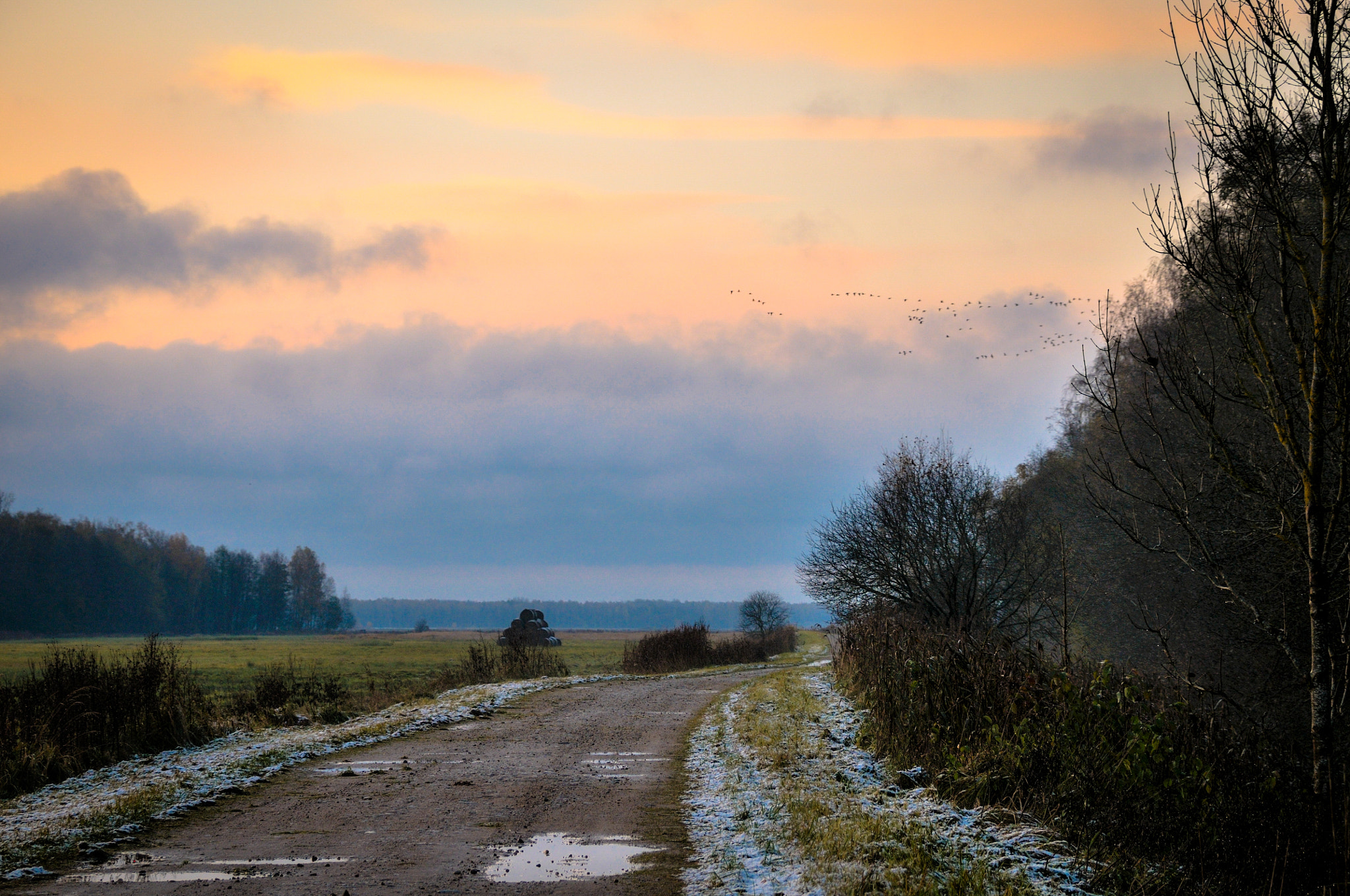 Nikon D300 sample photo. Late fall. dawn. first snow. photography