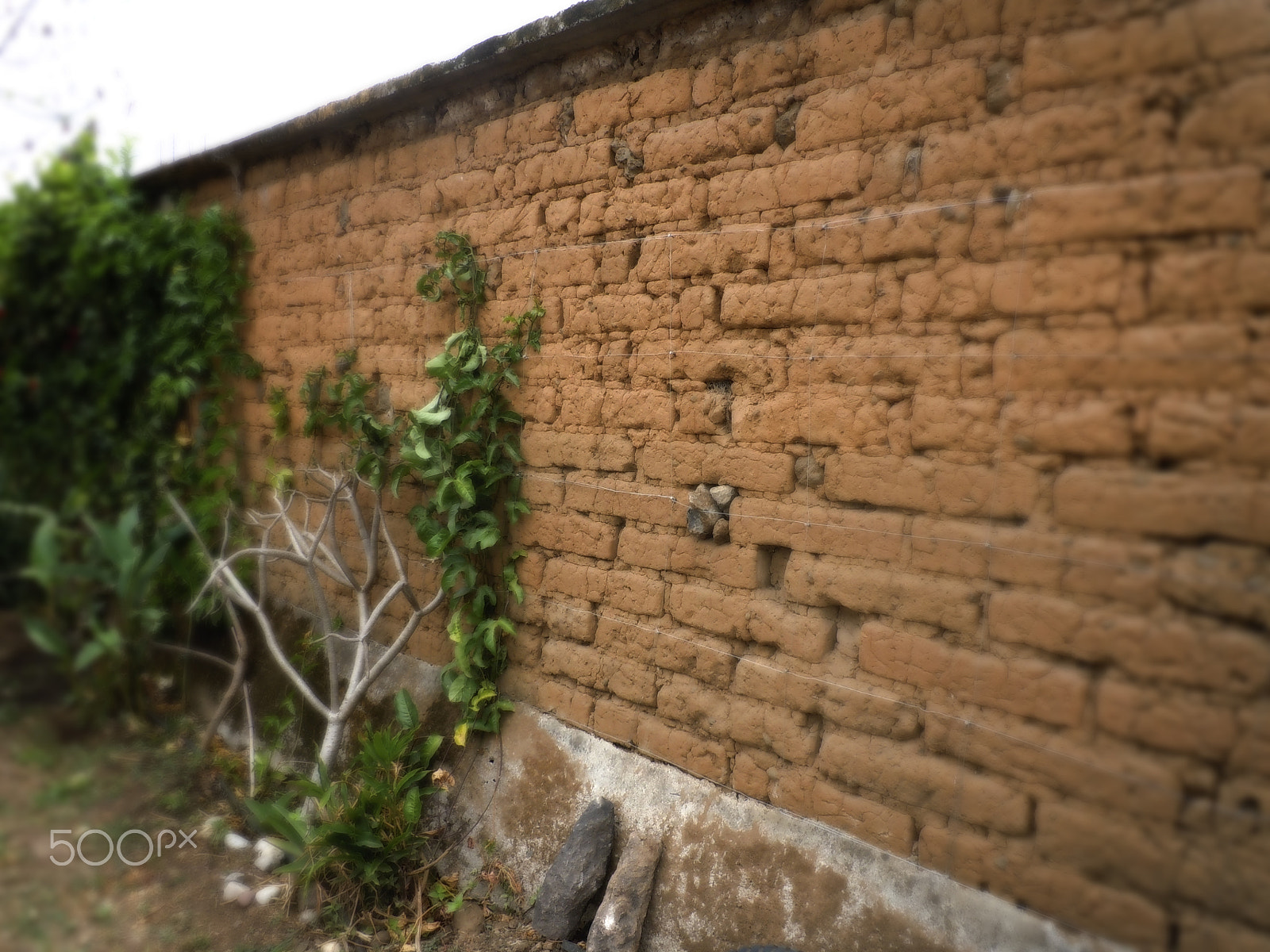 Nikon Coolpix S6000 sample photo. Malinalco adobe wall detail photography