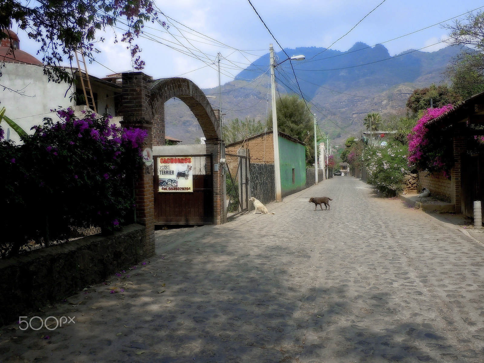 Nikon Coolpix S6000 sample photo. Malinalco street photography