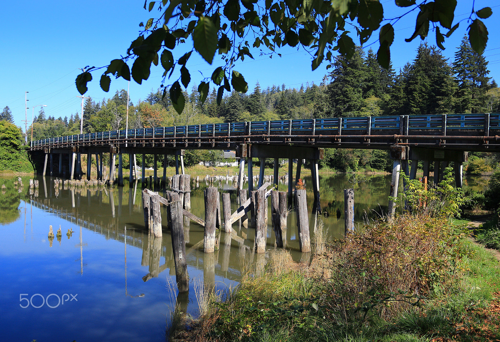 Canon EOS 700D (EOS Rebel T5i / EOS Kiss X7i) + Canon EF 17-40mm F4L USM sample photo. Young street bridge -kurt cobain memorial park photography