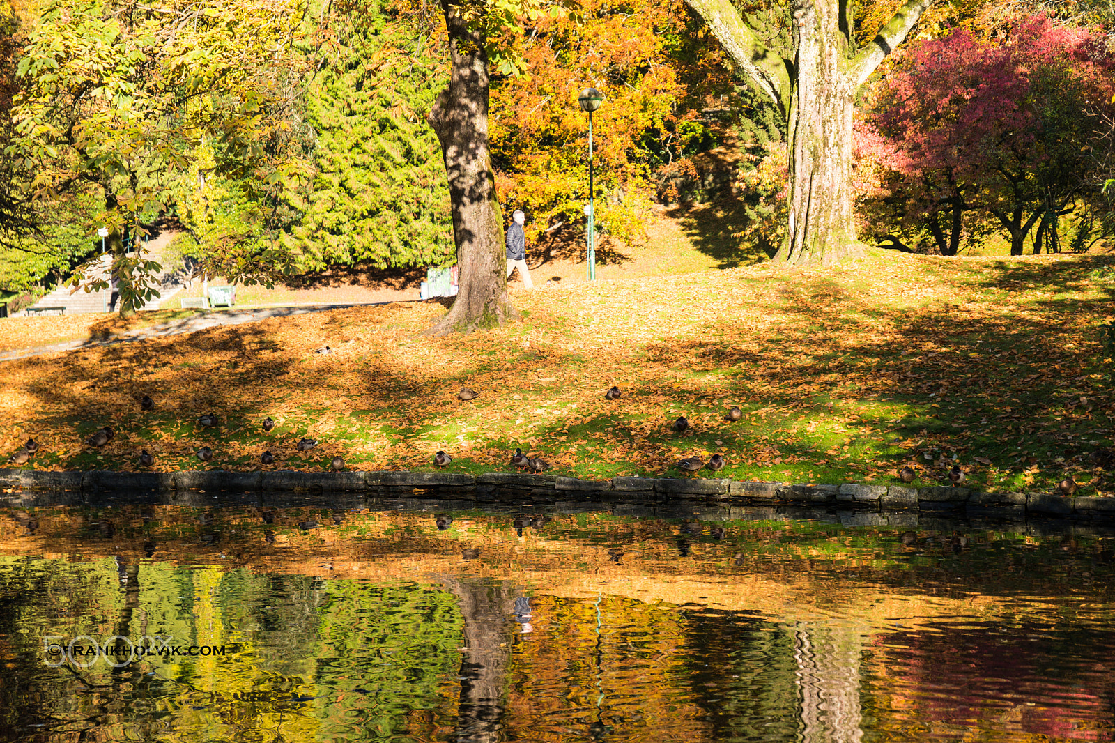 Samsung NX 16-50mm F2.0-2.8 S ED OIS sample photo. Autumn fall in nygårdspark photography