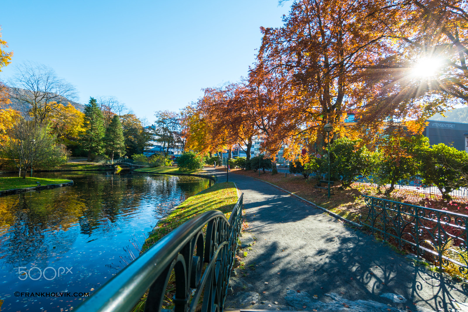 Samsung NX 12-24mm F4-5.6 ED sample photo. Autumn fall in nygårdspark photography