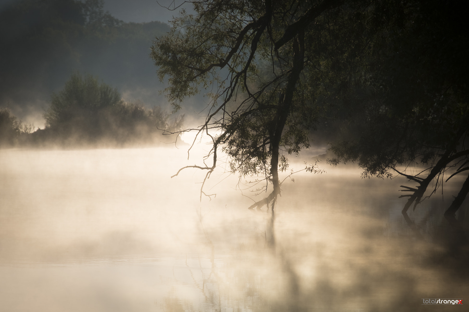 Fujifilm X-E1 + Fujifilm XF 18-135mm F3.5-5.6 R LM OIS WR sample photo. Morning fog iii photography