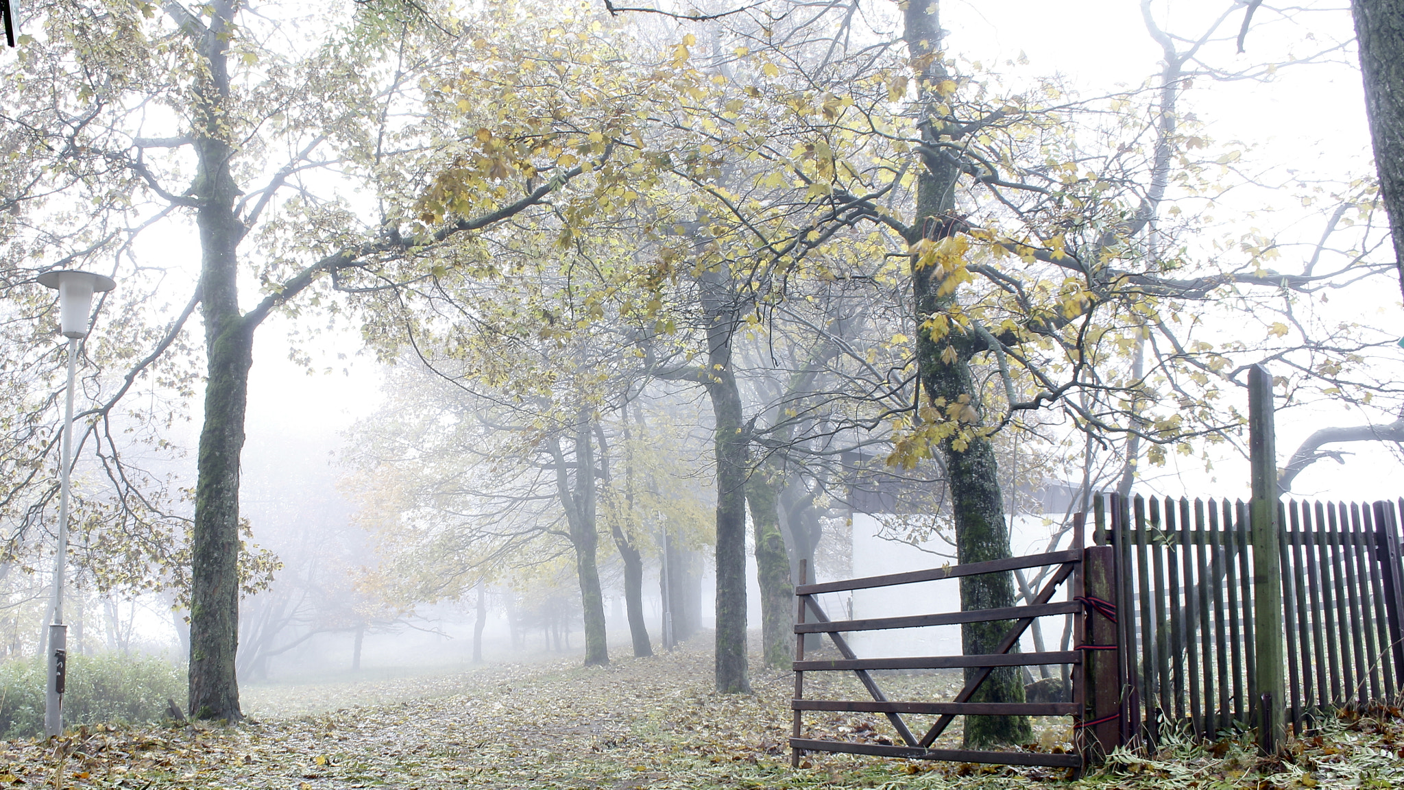 Canon EF-S 18-55mm F3.5-5.6 II sample photo. Foggy situation photography