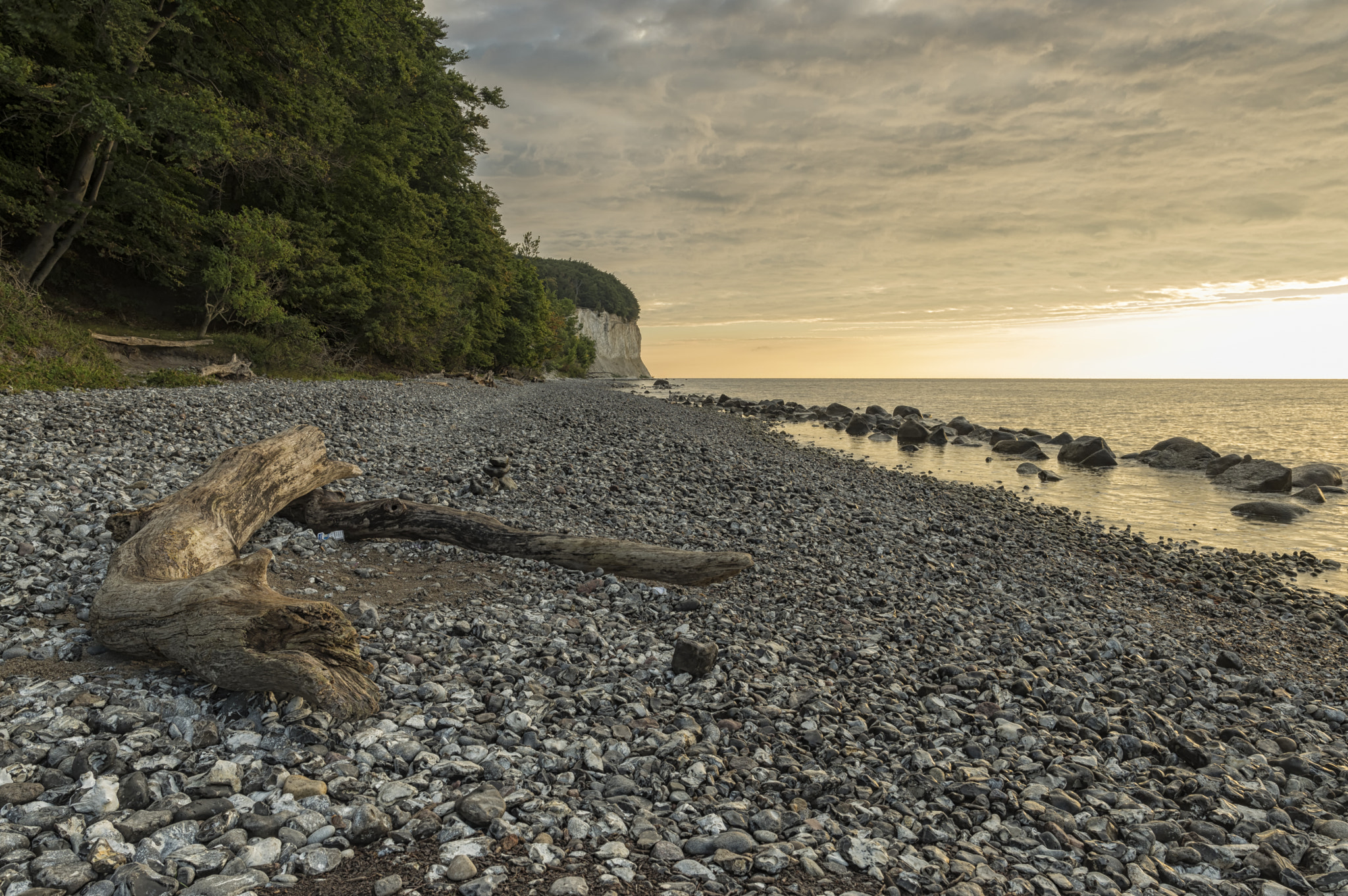 Pentax K-3 II + A Series Lens sample photo. Morning light photography