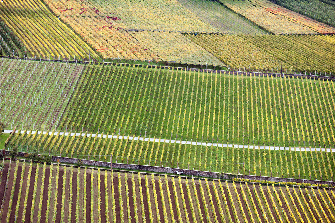 Minolta/Sony AF 70-200mm F2.8 G sample photo. The best vineyards (2) photography