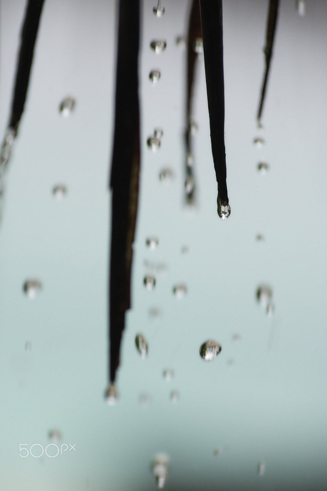 Pentax smc DA* 50-135mm F2.8 ED (IF) SDM sample photo. Beach in a drop photography