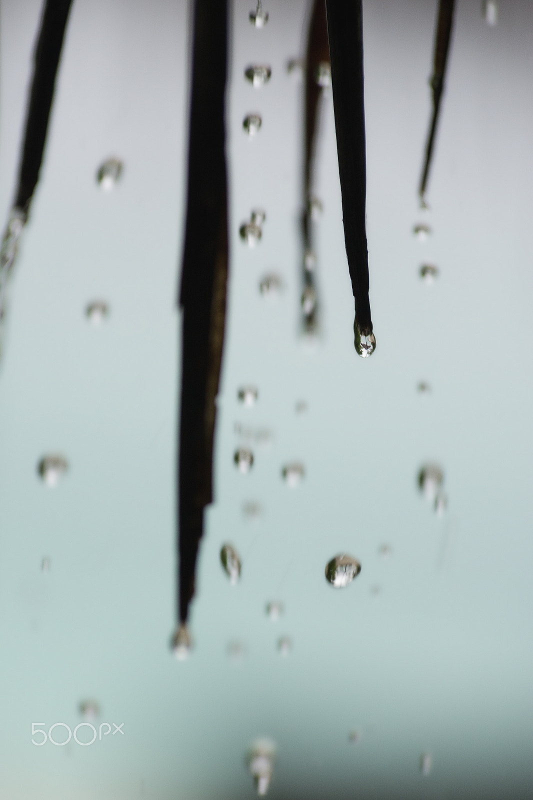 Pentax K-3 sample photo. Beach in a drop photography