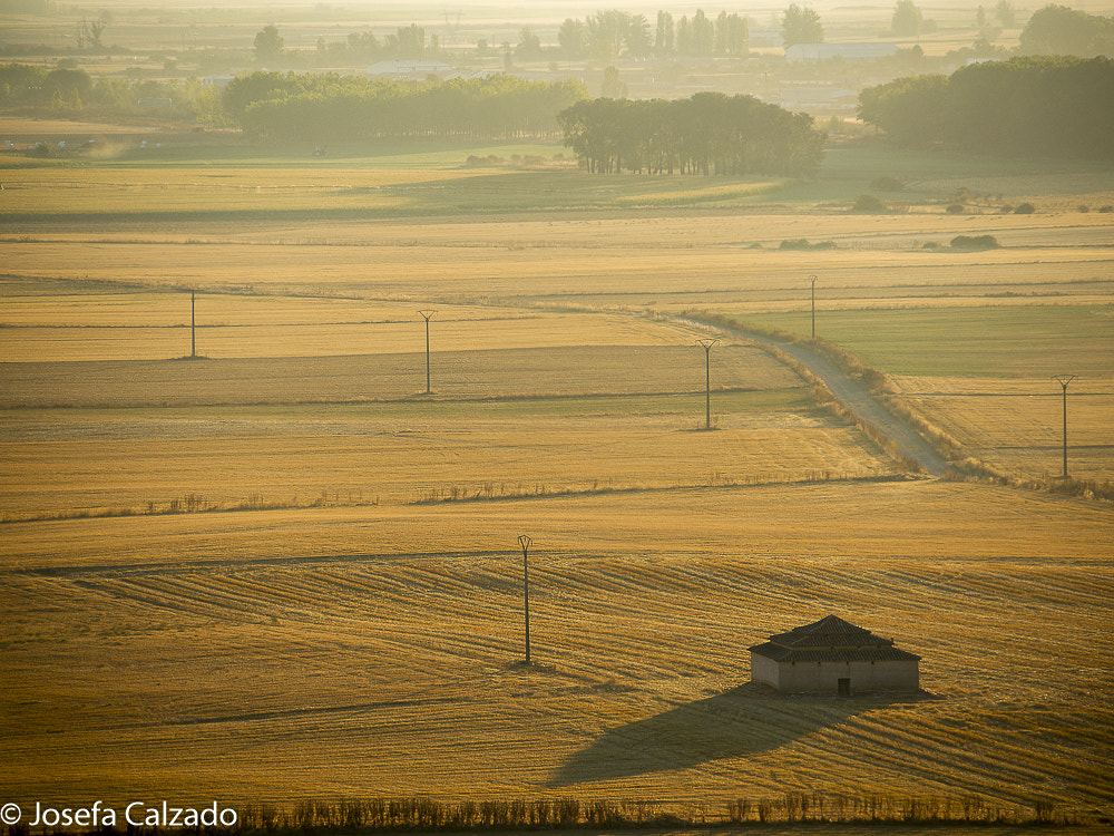 Tamron 14-150mm F3.5-5.8 Di III sample photo. Palomar en urueña photography