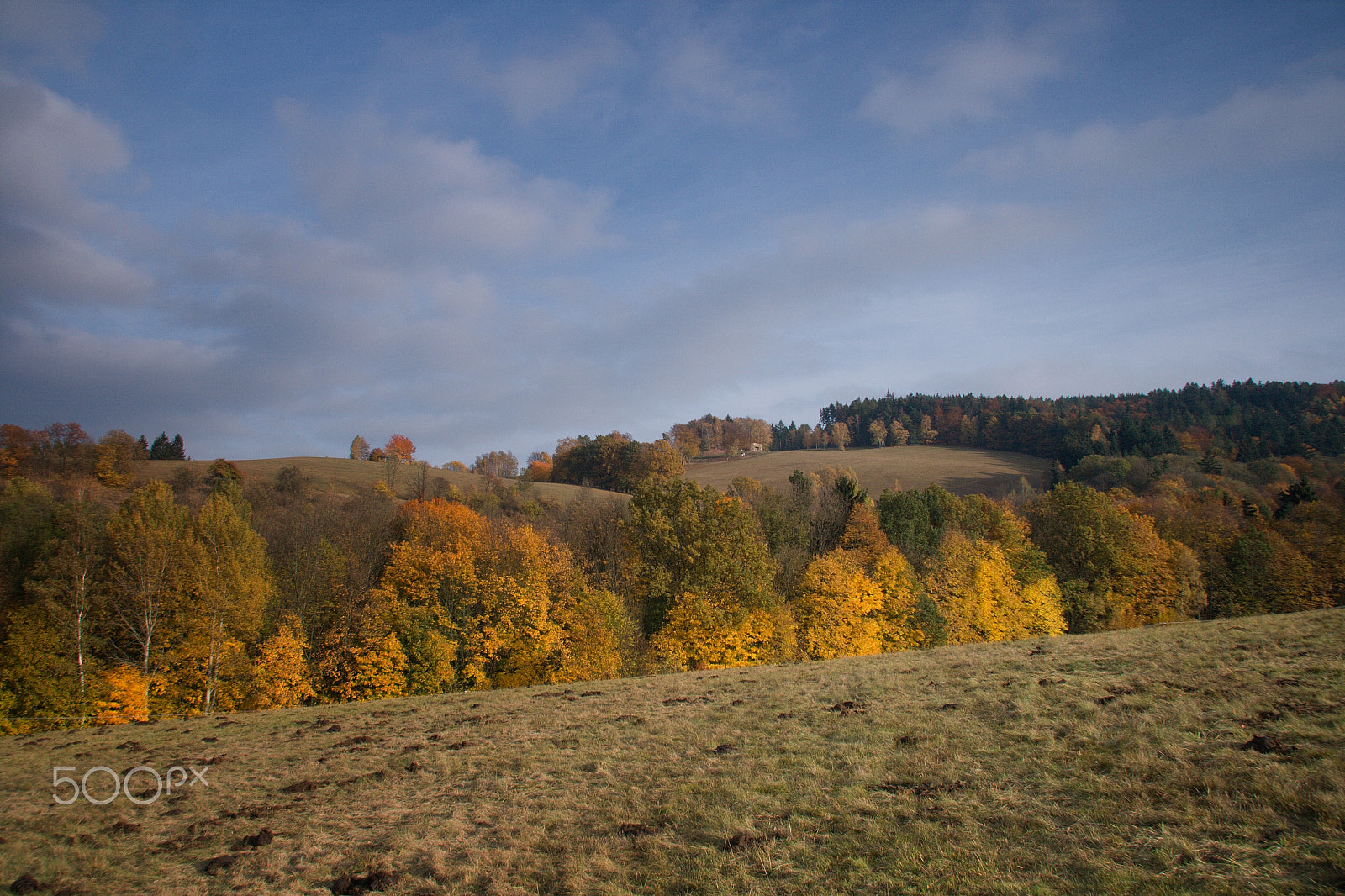 Canon EF-S 17-85mm F4-5.6 IS USM sample photo. Golden fall photography
