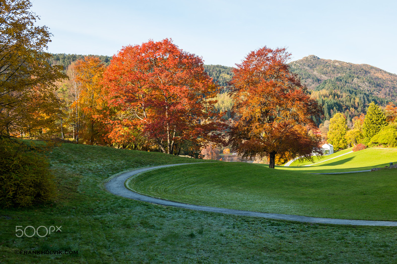 Samsung NX 12-24mm F4-5.6 ED sample photo. Autumn colors at gamlehaugen photography