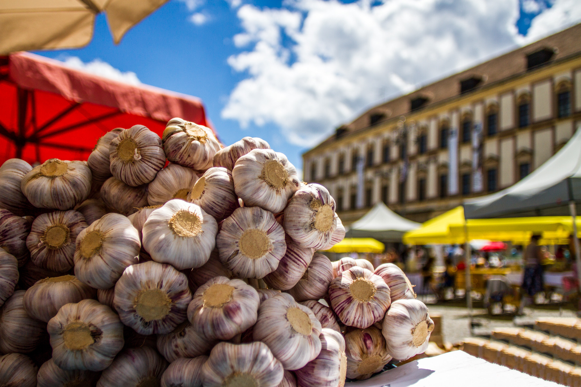 Canon EOS 7D + Canon EF 20mm F2.8 USM sample photo. Beautiful garlic photography