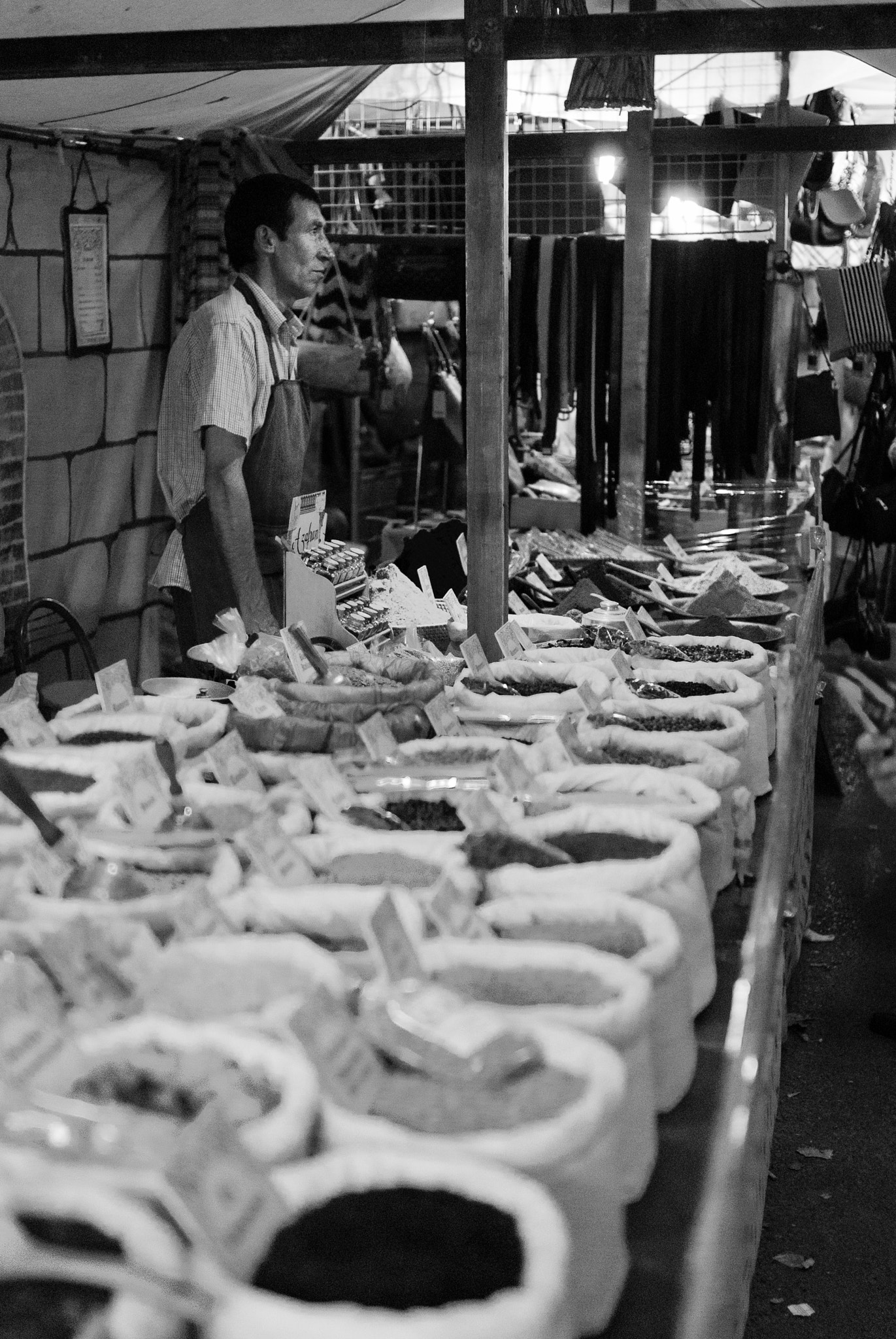 Nikon D3000 sample photo. Paradeta d'espècies photography