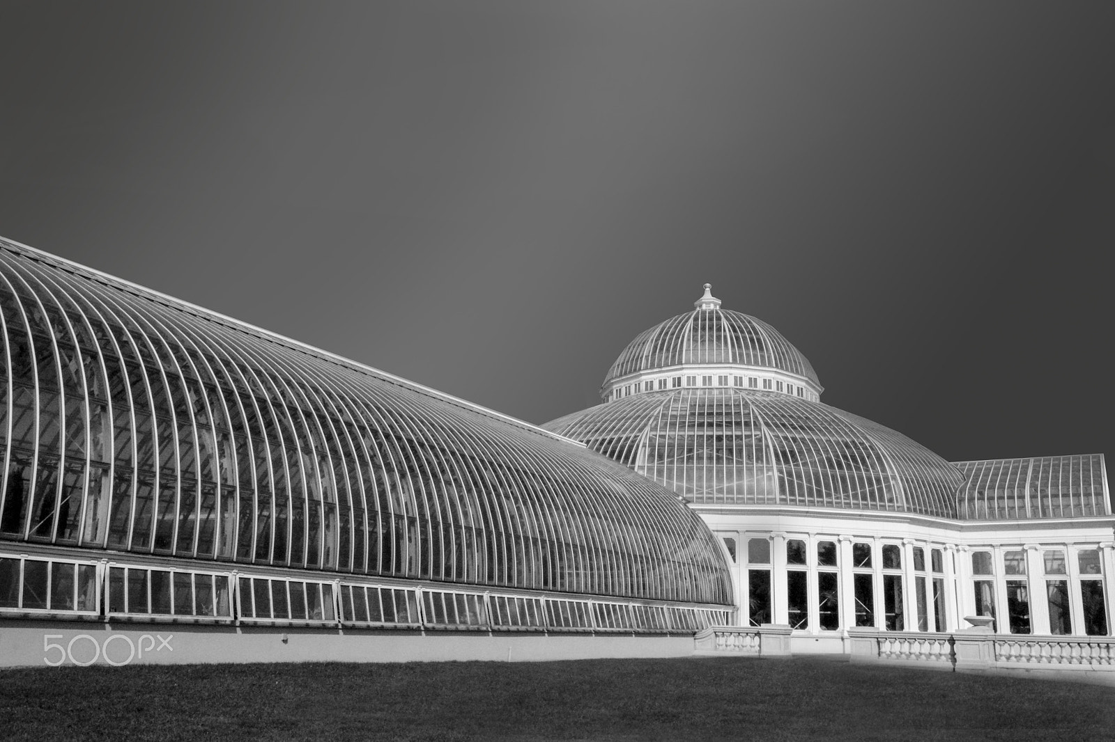 Sigma 18-50mm F2.8-4.5 DC OS HSM sample photo. Como park conservatory, st paul, mn, usa photography