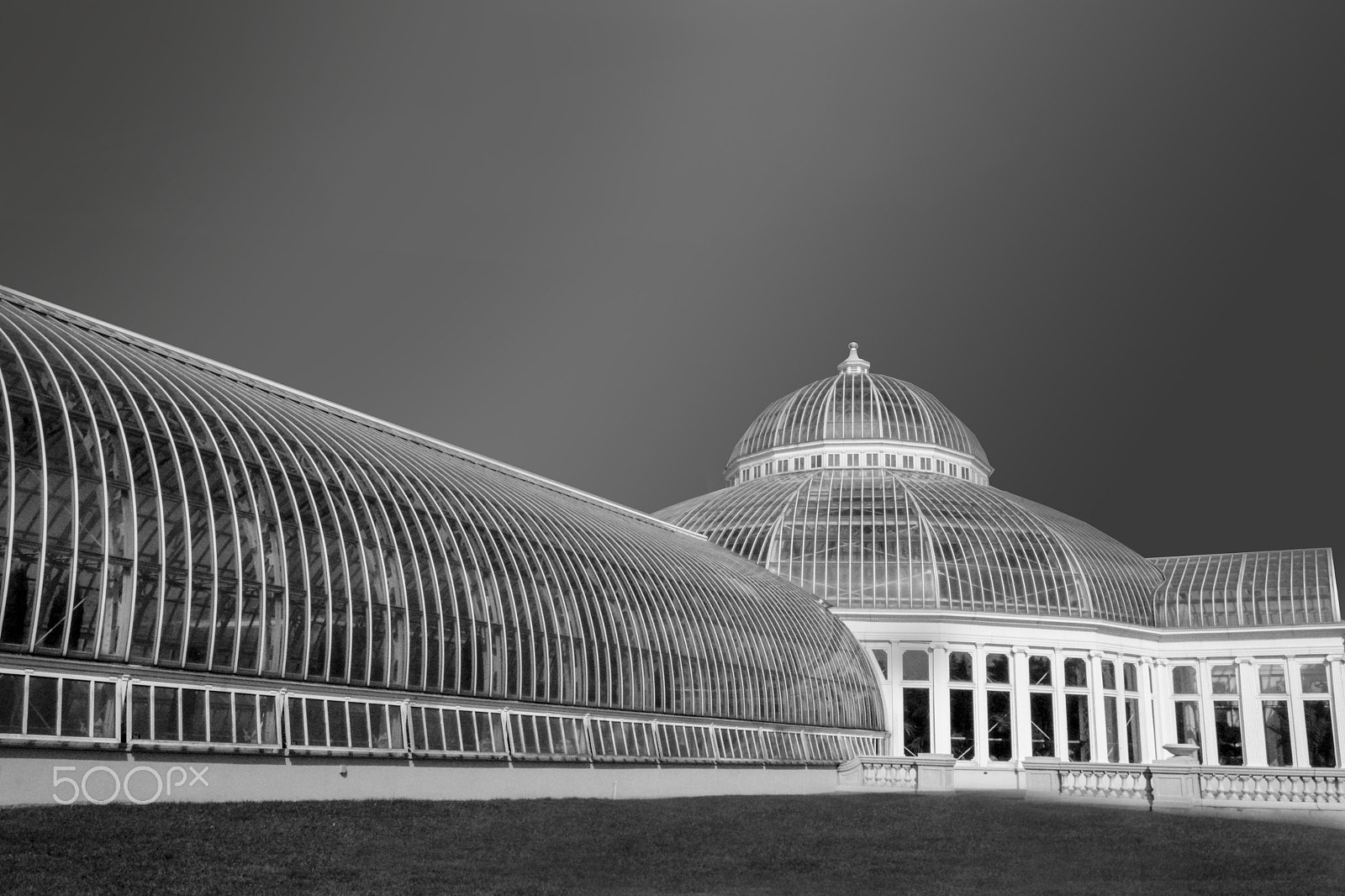 Nikon D5200 + Sigma 18-50mm F2.8-4.5 DC OS HSM sample photo. Como park conservatory, st paul, mn, usa photography