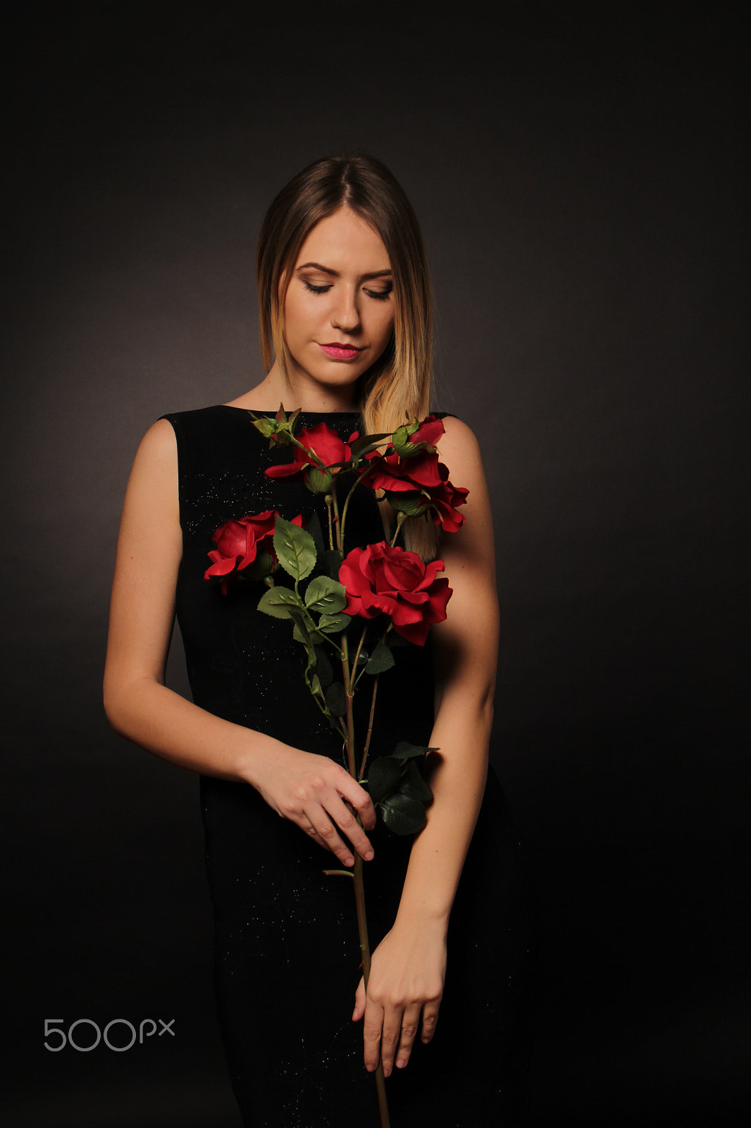 Canon EF 24-105mm F3.5-5.6 IS STM sample photo. The rose keeper photography