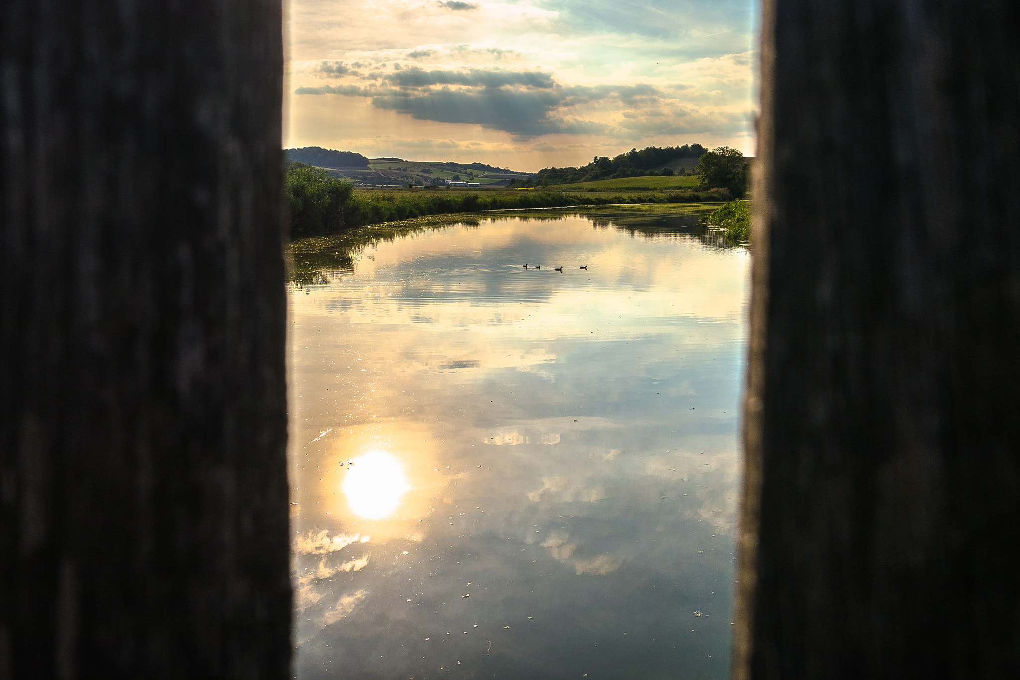 Panasonic Lumix DMC-G5 sample photo. Sonne im wasser photography