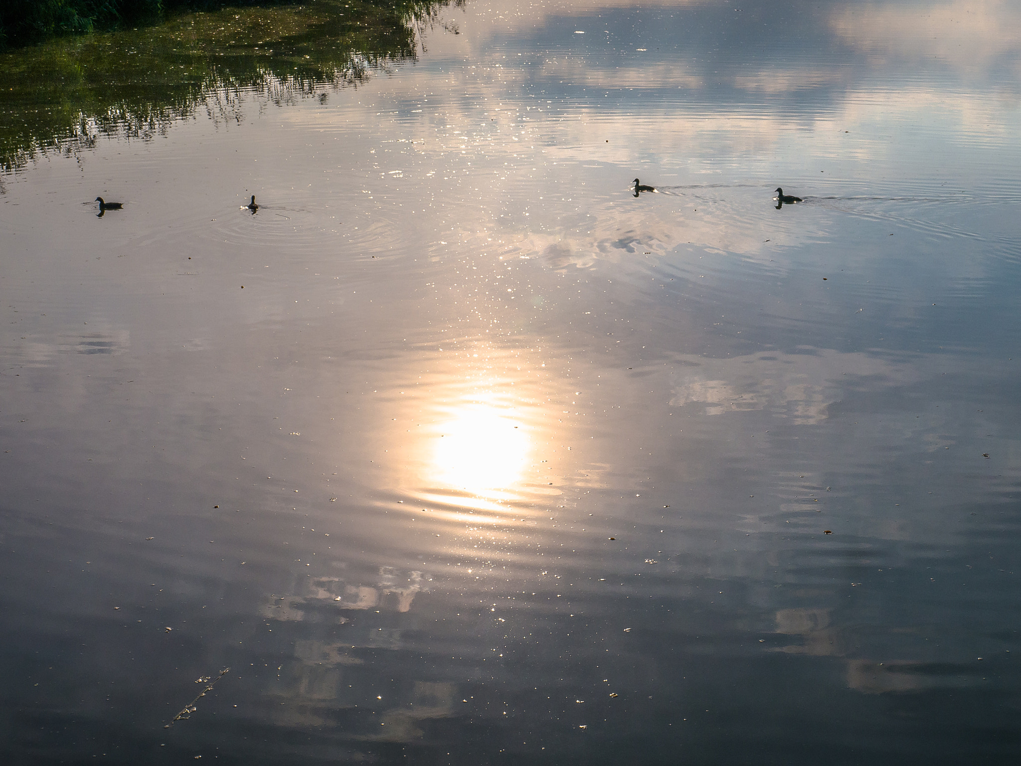 Panasonic Lumix DMC-G5 sample photo. Sonne im wasser photography