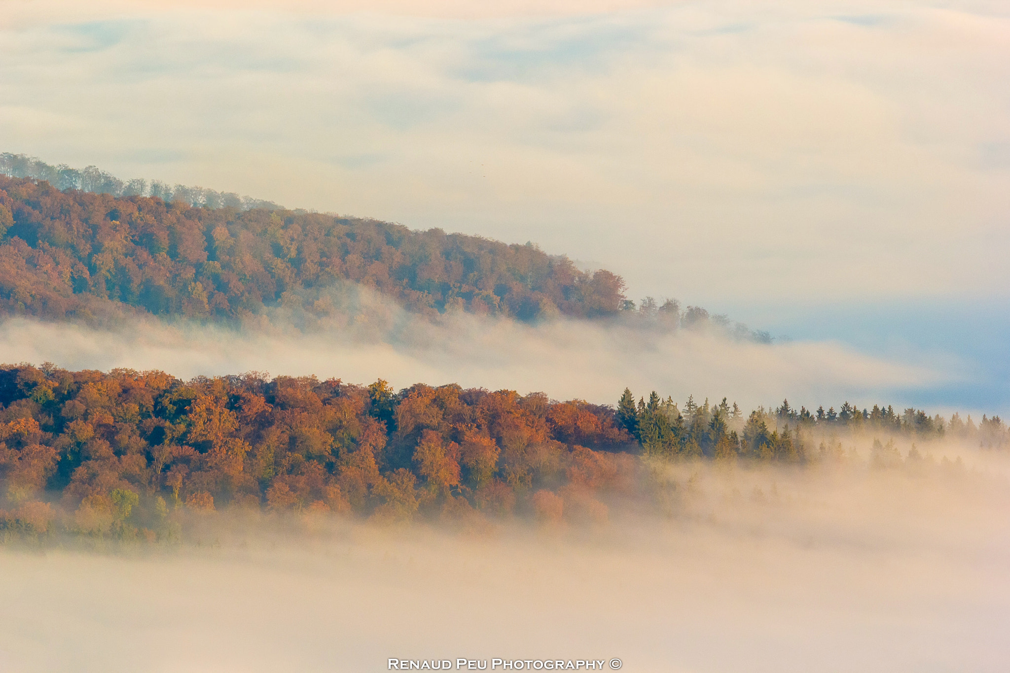 Canon EOS 60D + Canon EF 300mm F4L IS USM sample photo. Wald im nebel photography