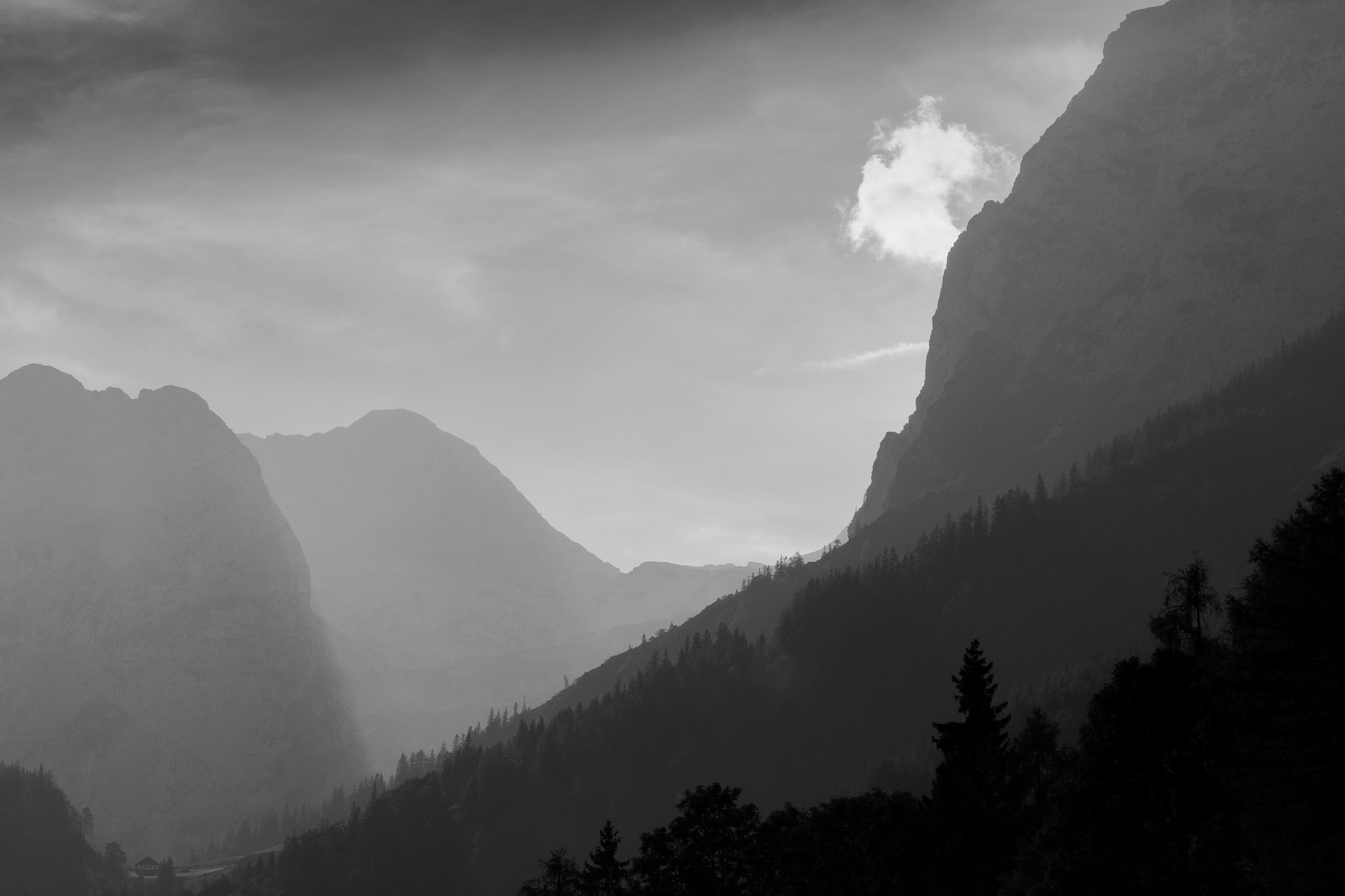 Tamron SP 35mm F1.8 Di VC USD sample photo. Paradise bw photography