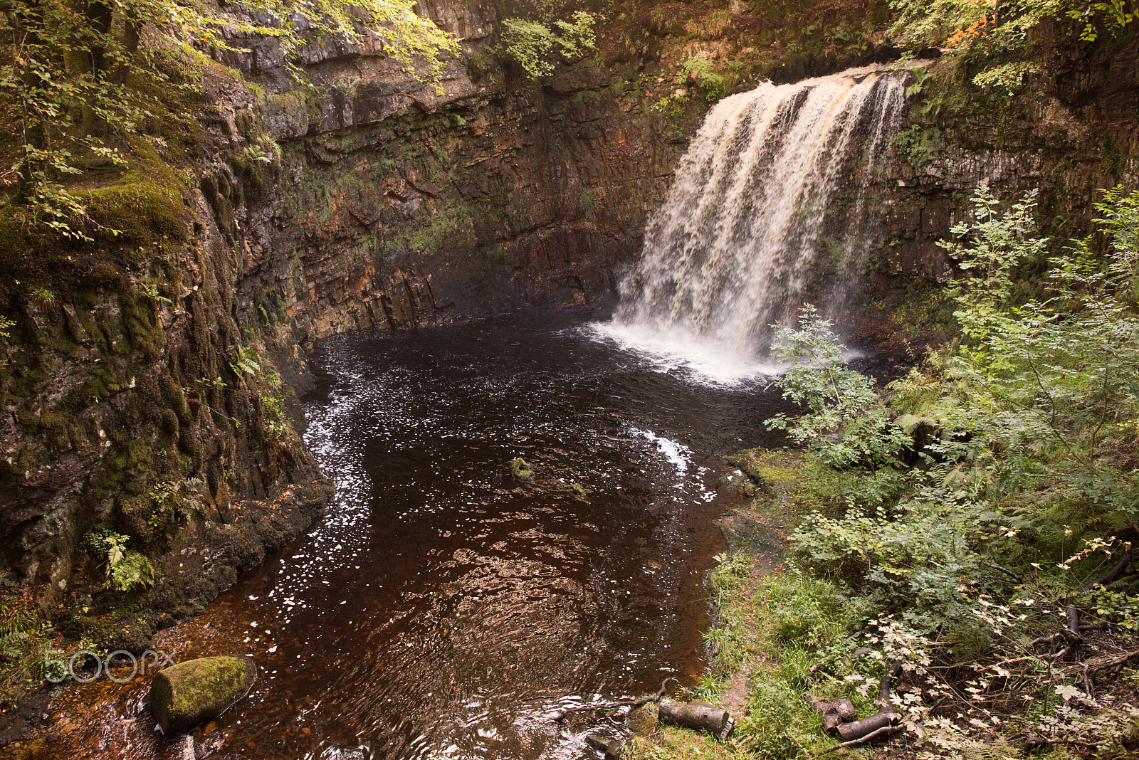 Nikon D810 + Nikon AF-S Nikkor 24mm F1.4G ED sample photo. Dalcairney falls photography