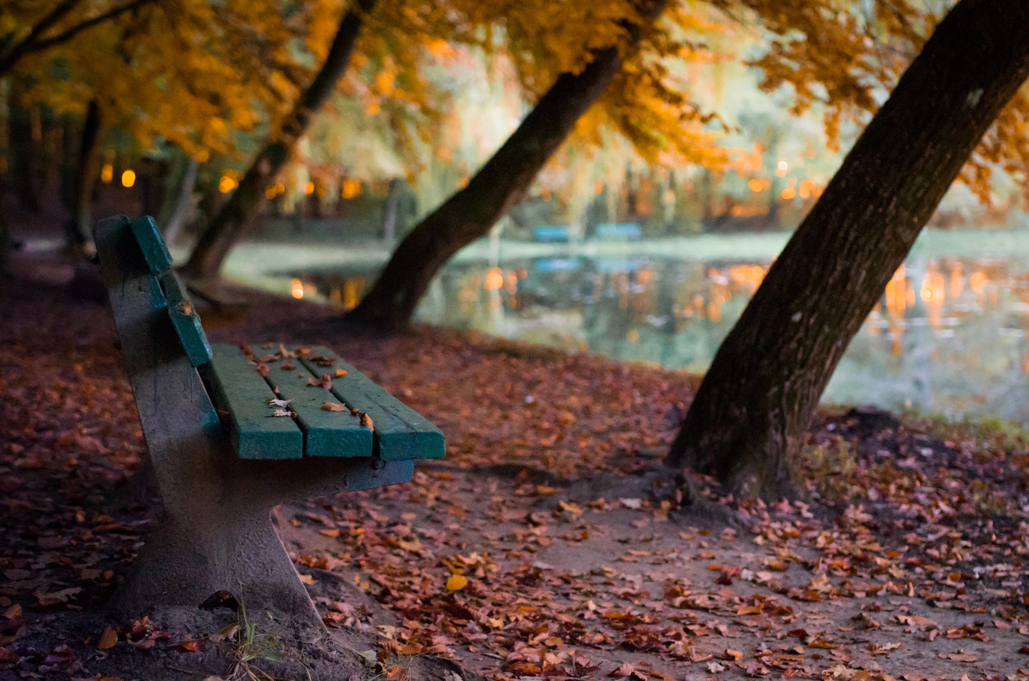 Pentax K-50 sample photo. Bench under golden cover photography