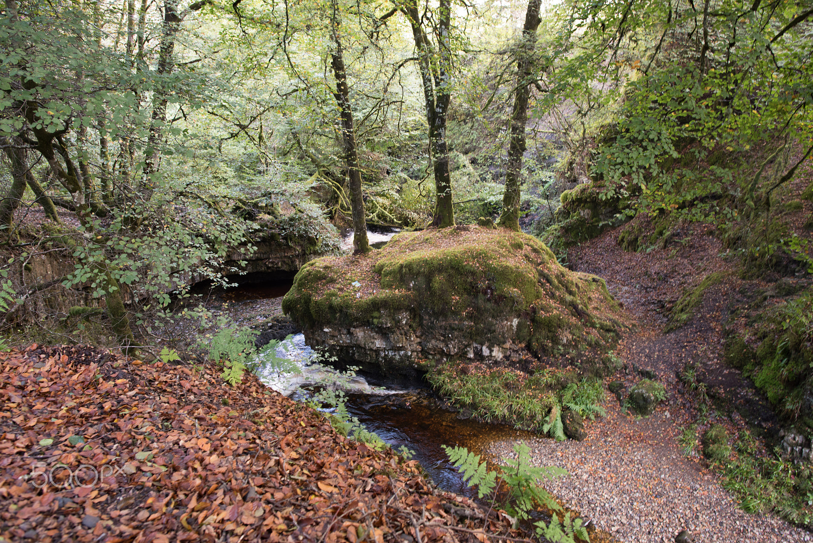 Nikon D810 + Nikon AF-S Nikkor 24mm F1.4G ED sample photo. River troon by dalcairney falls photography