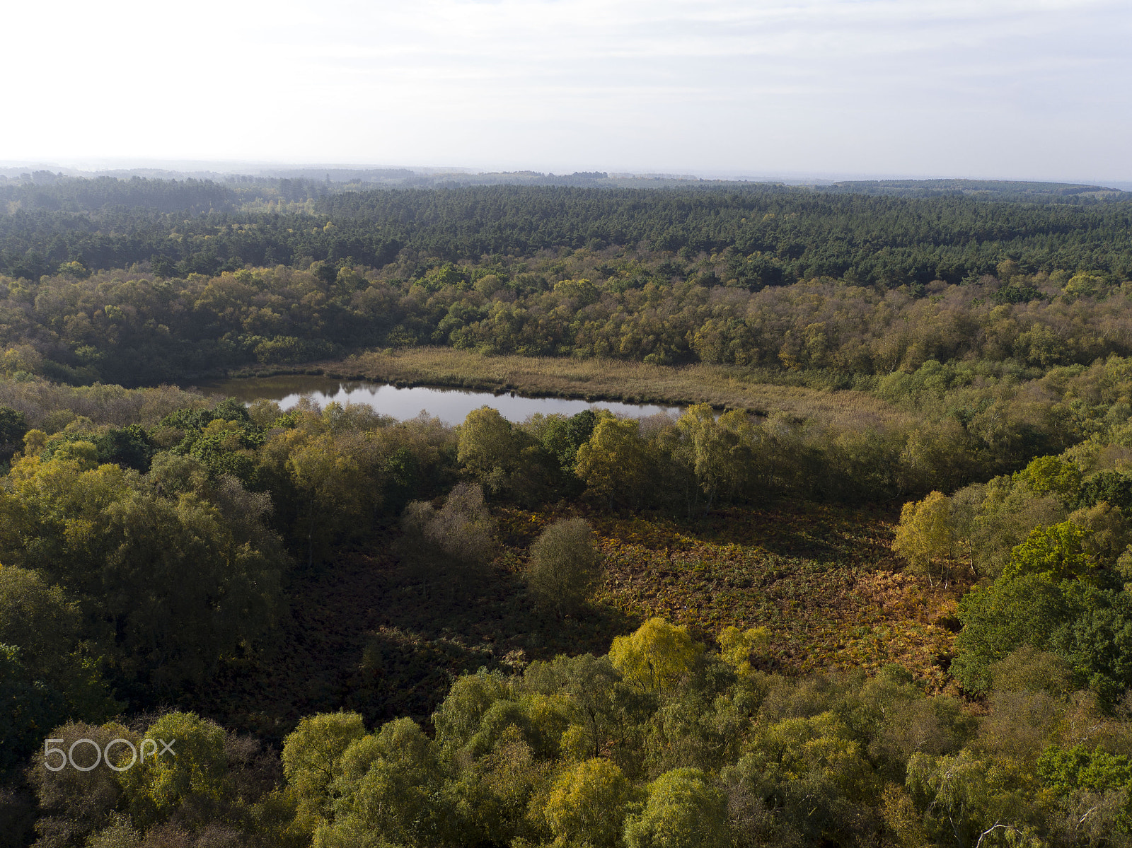 DJI FC550 sample photo. Lost pond photography