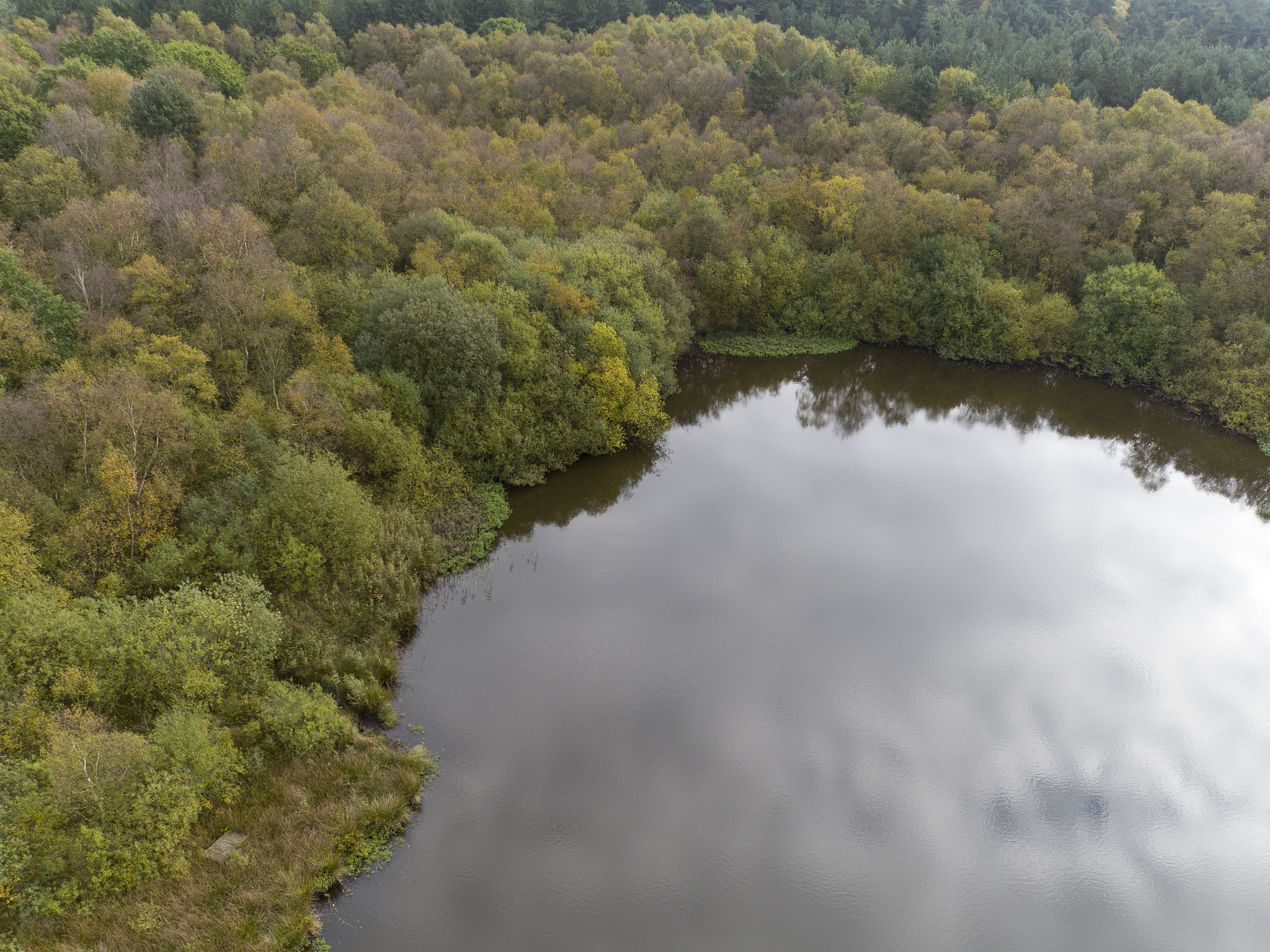 DJI FC550 sample photo. Dji photography