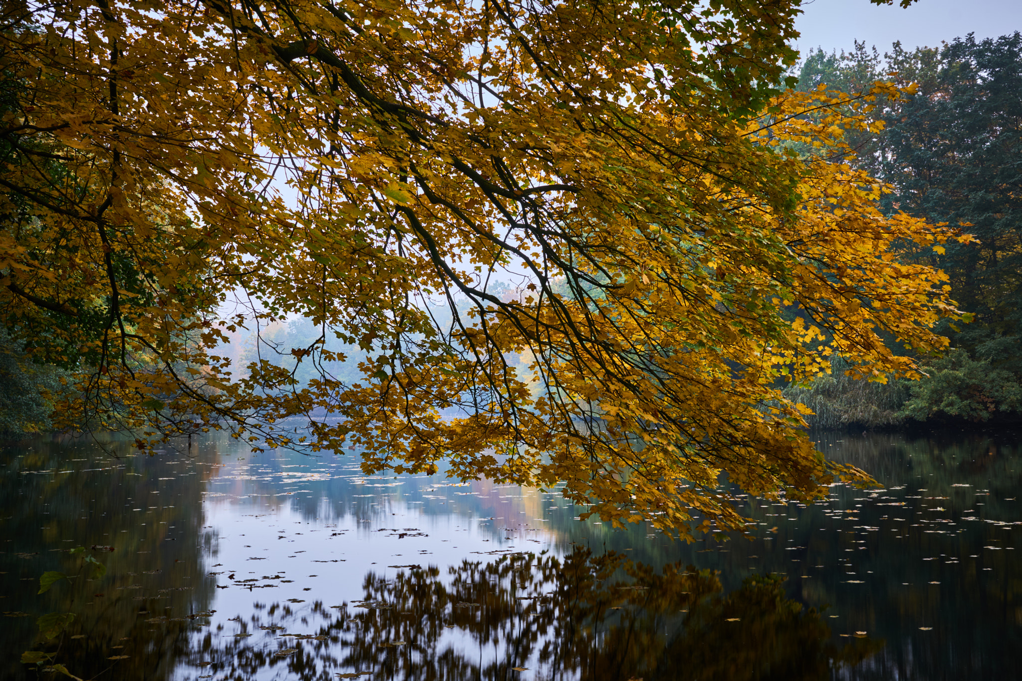 Sony a6000 + Sigma 30mm F2.8 EX DN sample photo. Hubertussee ii photography