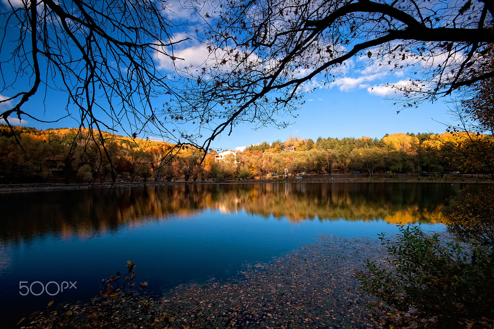 Sony Alpha DSLR-A700 sample photo. Autumn colors photography