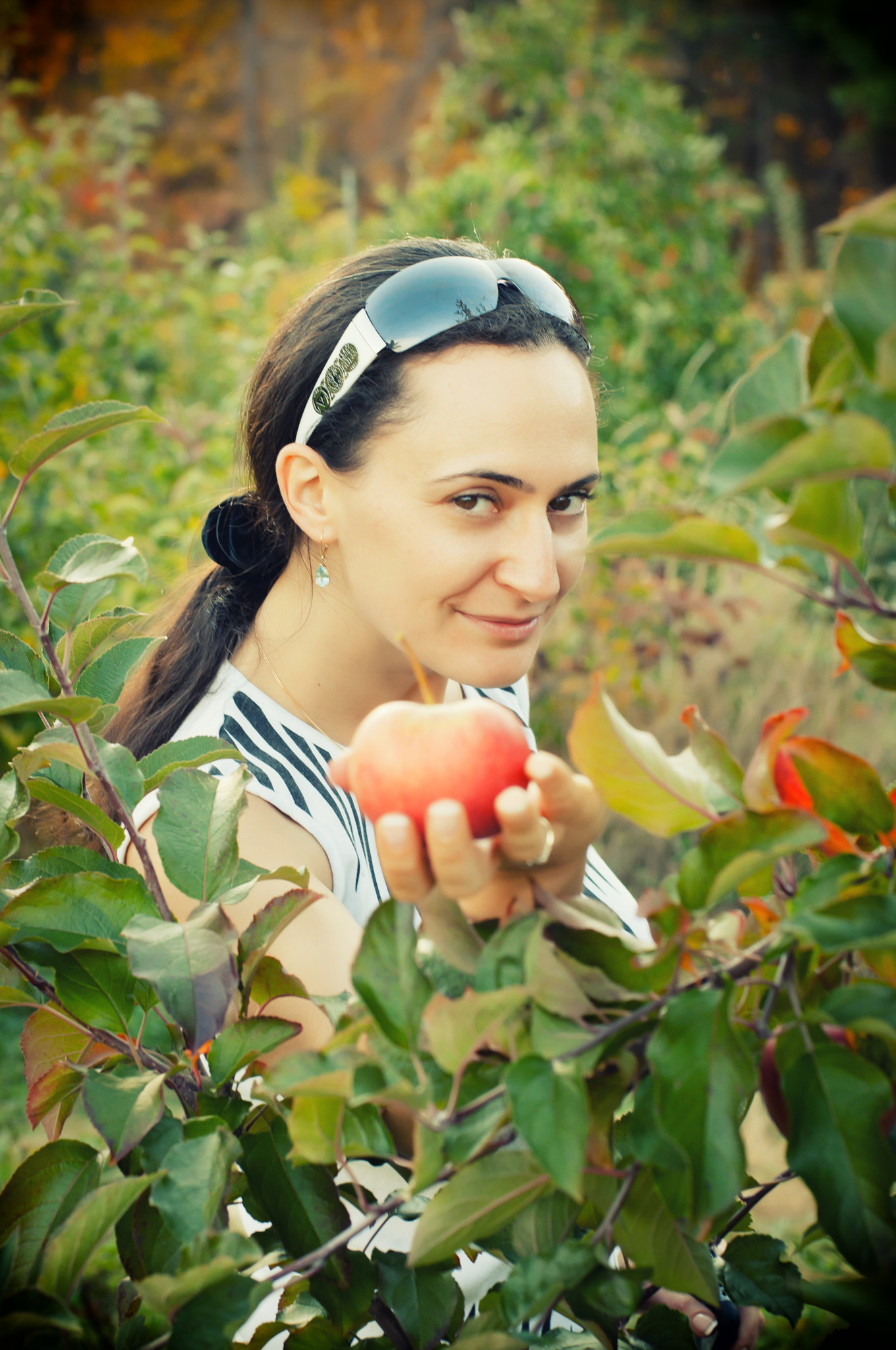 Nikon D300S + Nikon AF Nikkor 50mm F1.4D sample photo. Wanna apple? photography