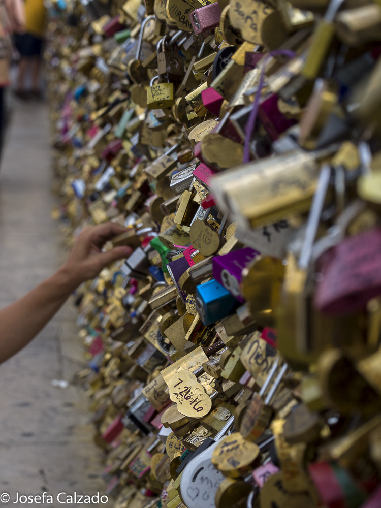 Olympus OM-D E-M10 sample photo. Olympus digital camera, pont des arts photography