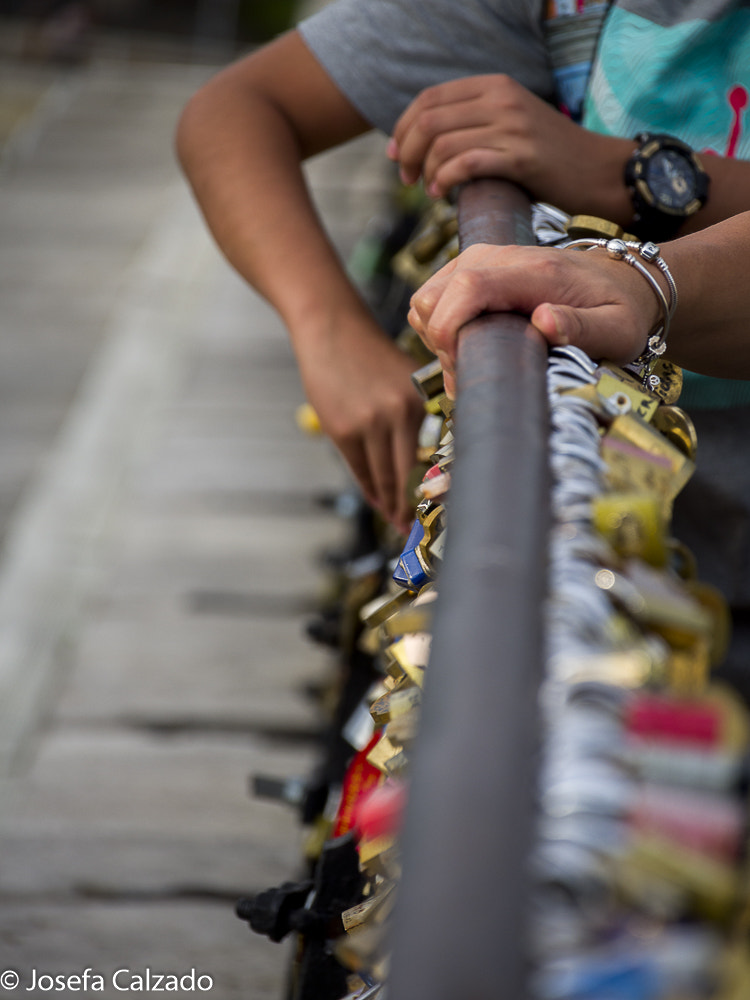 Tamron 14-150mm F3.5-5.8 Di III sample photo. Olympus digital camera, pont des arts photography