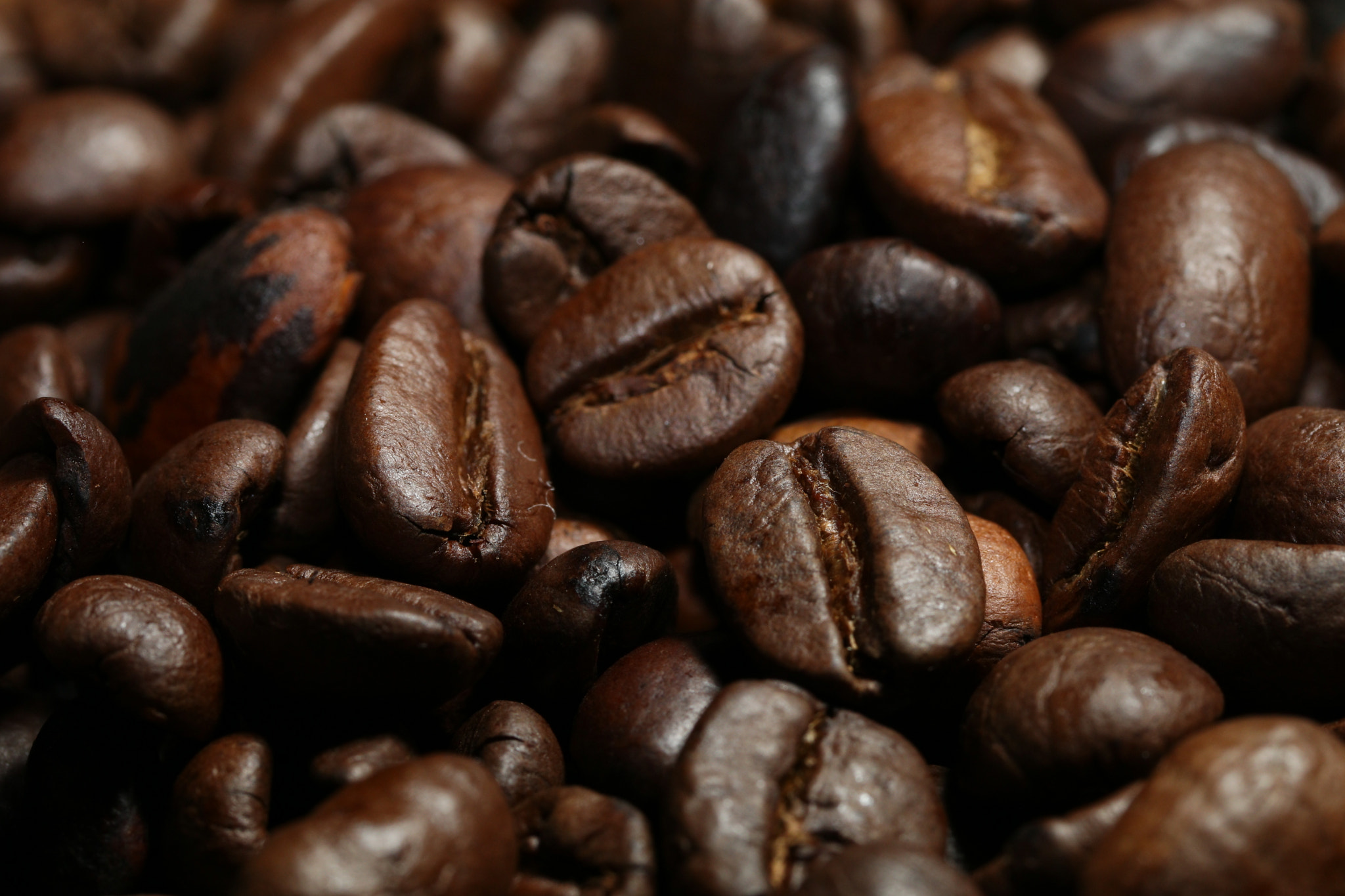 Canon EF-S 60mm F2.8 Macro USM sample photo. Dark and tasty photography
