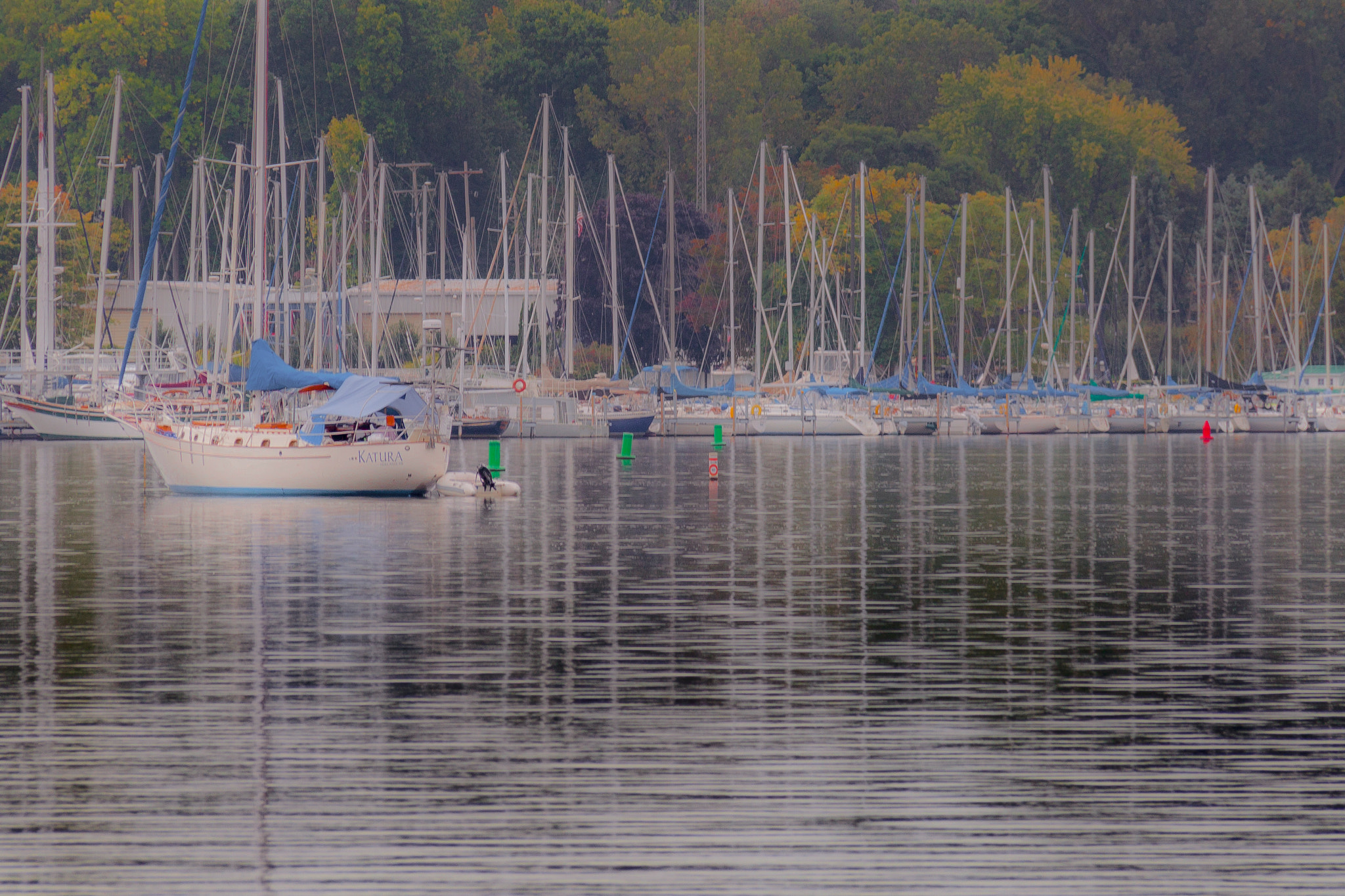Canon EOS 500D (EOS Rebel T1i / EOS Kiss X3) sample photo. Autumn sailboats photography